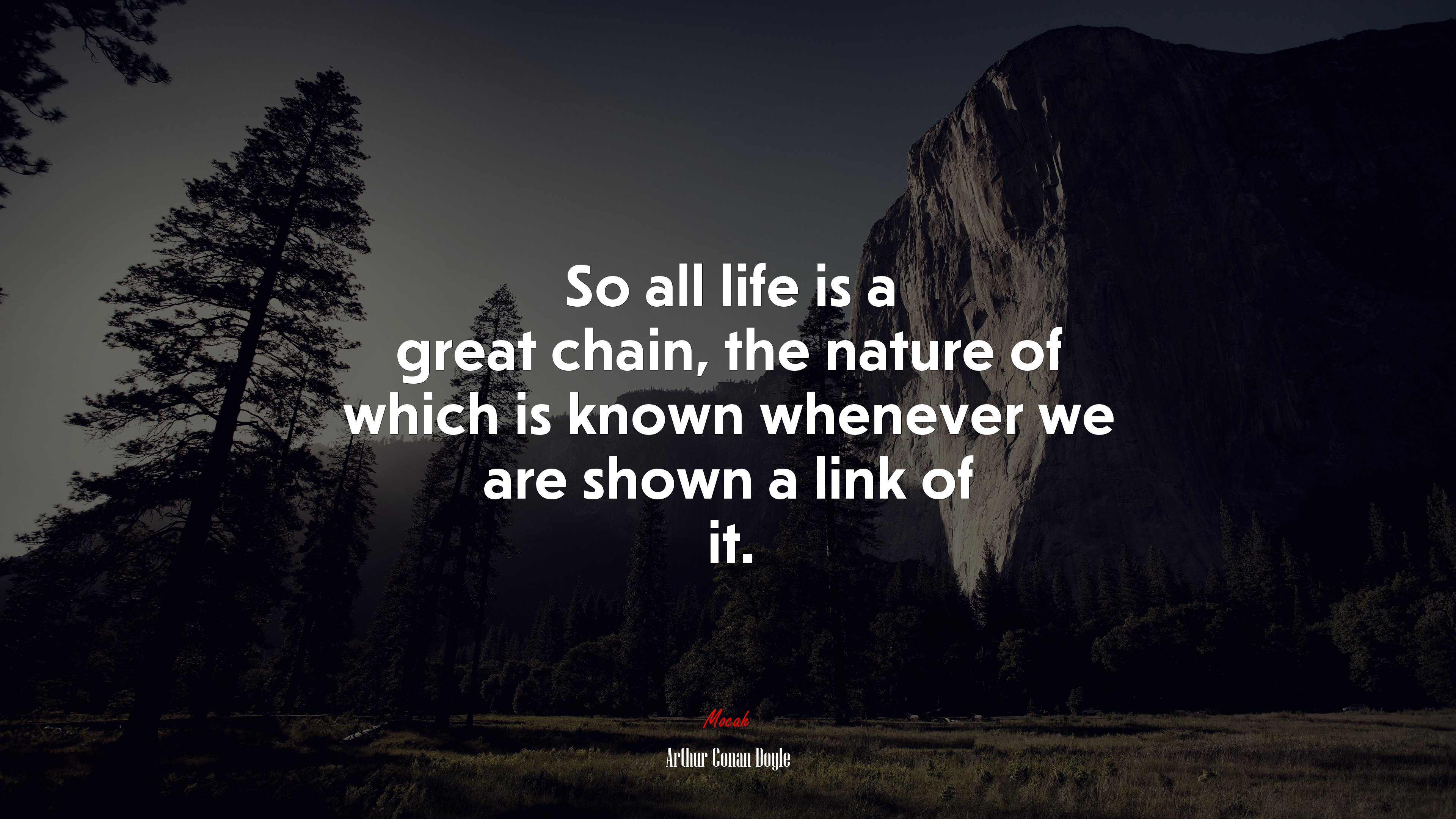 So all life is a great chain, the nature of which is known whenever we are shown a link of it. | Arthur Conan Doyle quote HD Wallpaper
