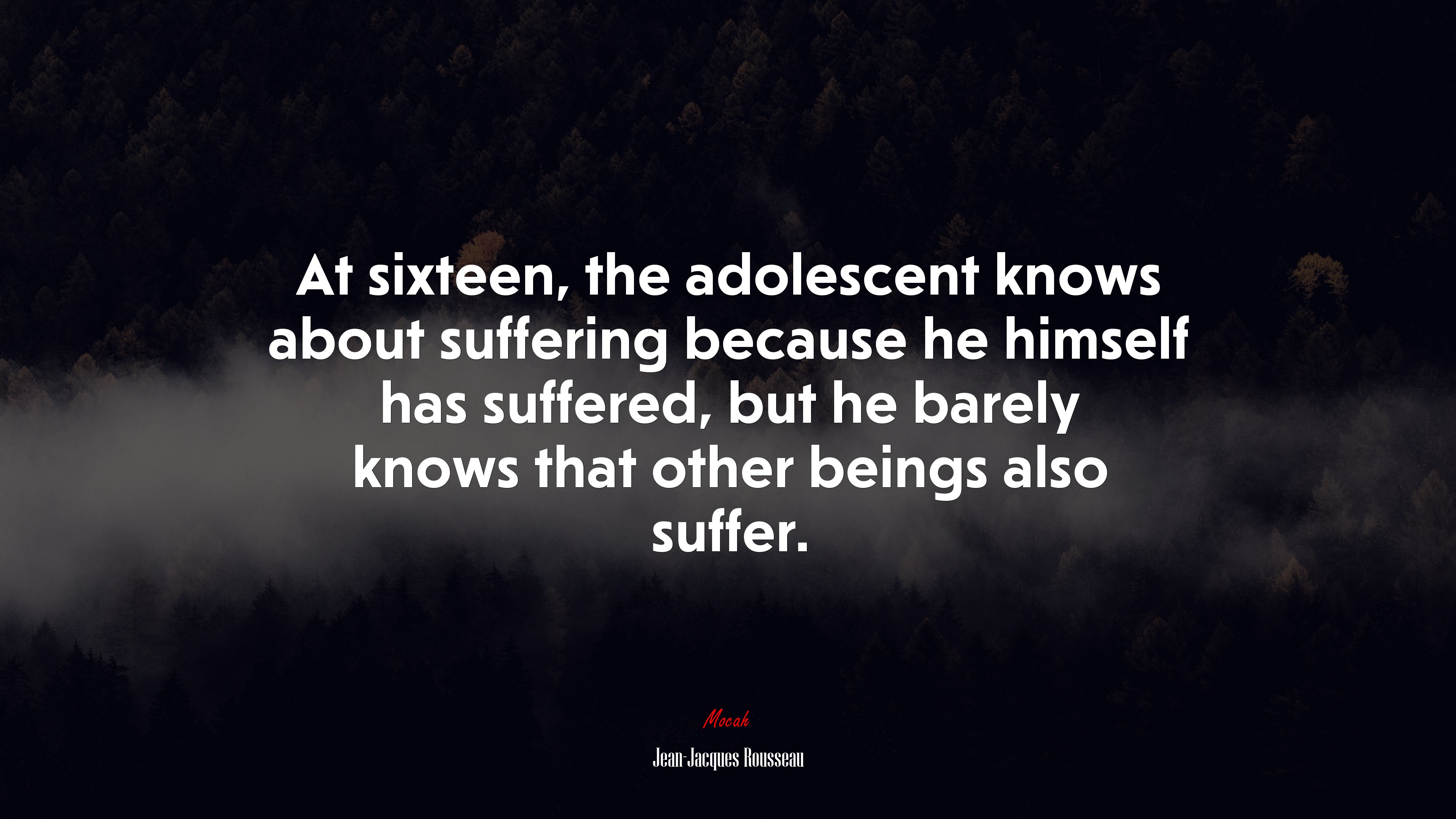 At sixteen, the adolescent knows about suffering because he himself has suffered, but he barely knows that other beings also suffer. | Jean-Jacques Rousseau quote HD Wallpaper