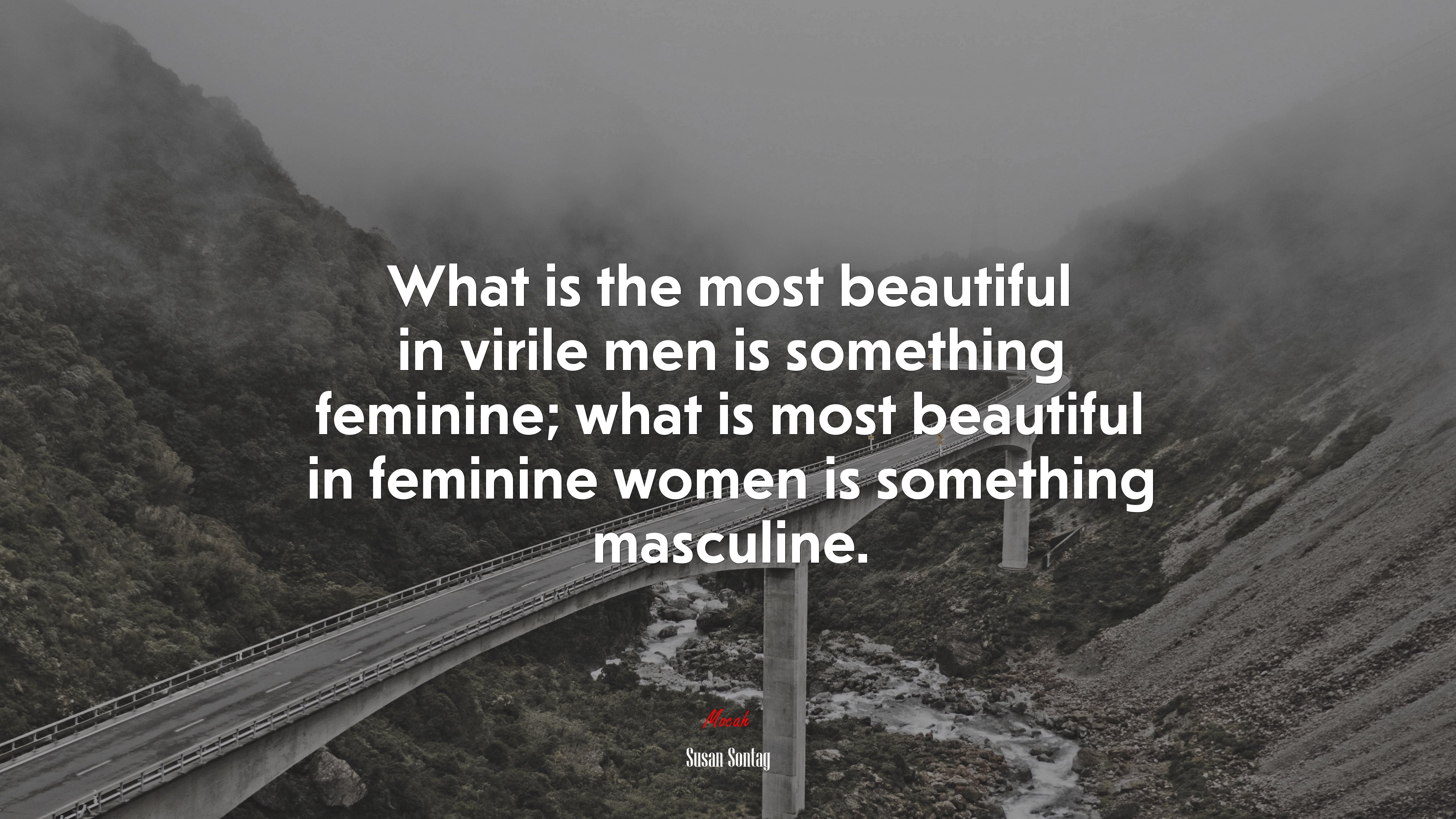 What is the most beautiful in virile men is something feminine; what is most beautiful in feminine women is something masculine. | Susan Sontag quote HD Wallpaper