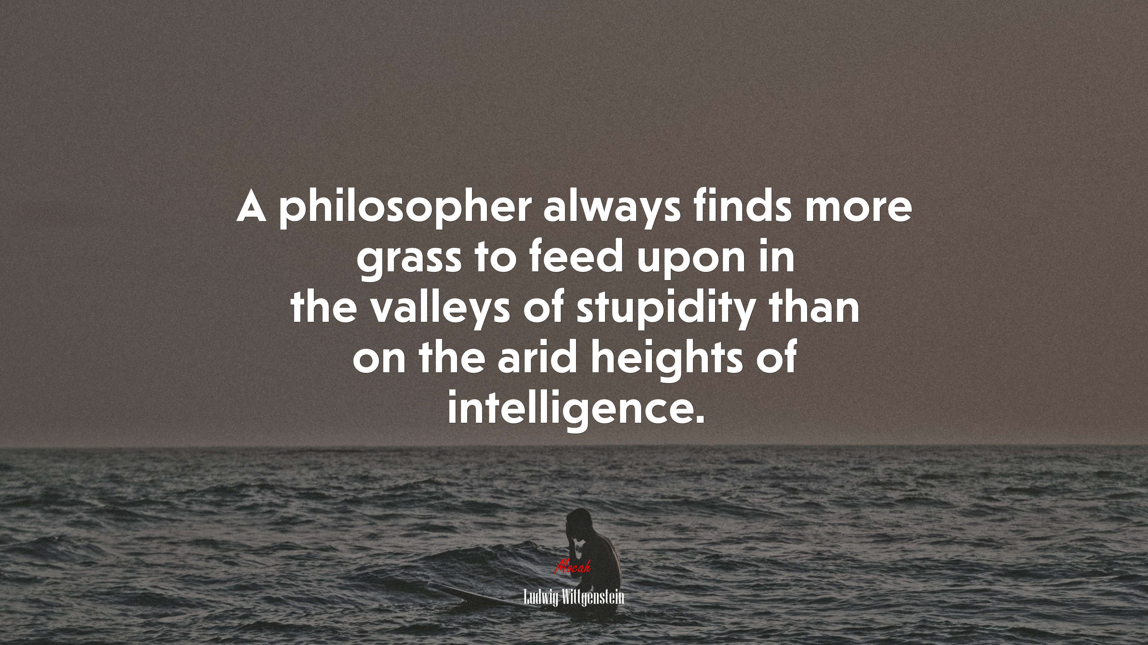 A philosopher always finds more grass to feed upon in the valleys of stupidity than on the arid heights of intelligence. | Ludwig Wittgenstein quote HD Wallpaper