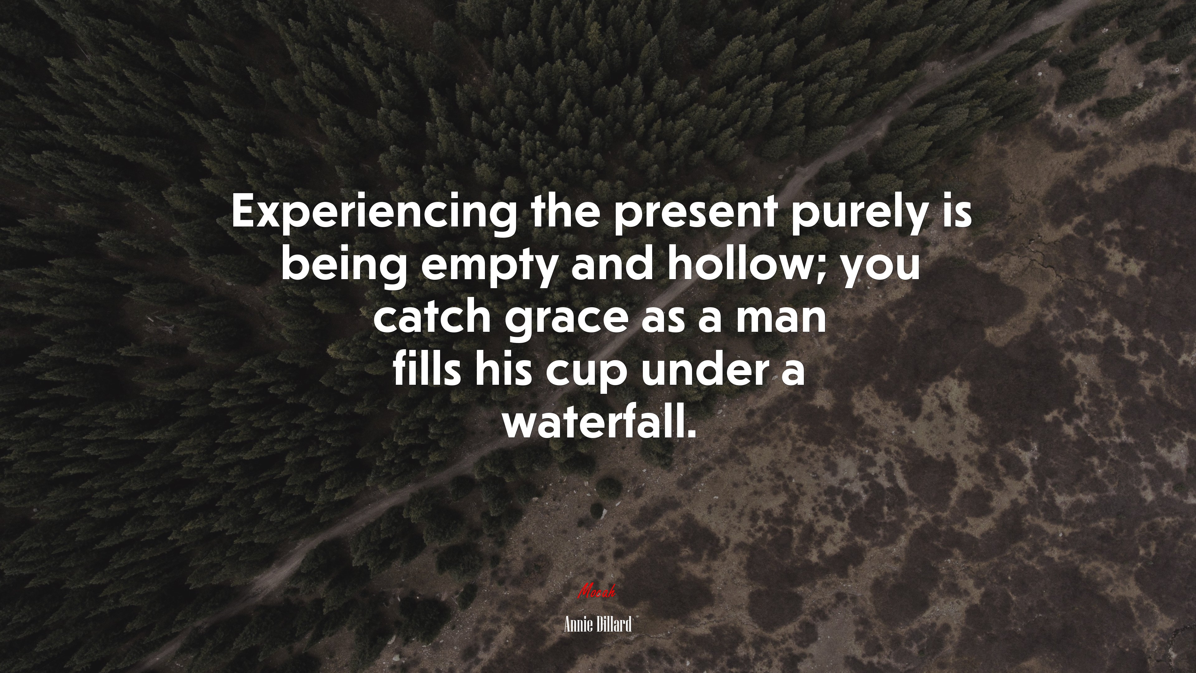 Experiencing the present purely is being empty and hollow; you catch grace as a man fills his cup under a waterfall. | Annie Dillard quote HD Wallpaper