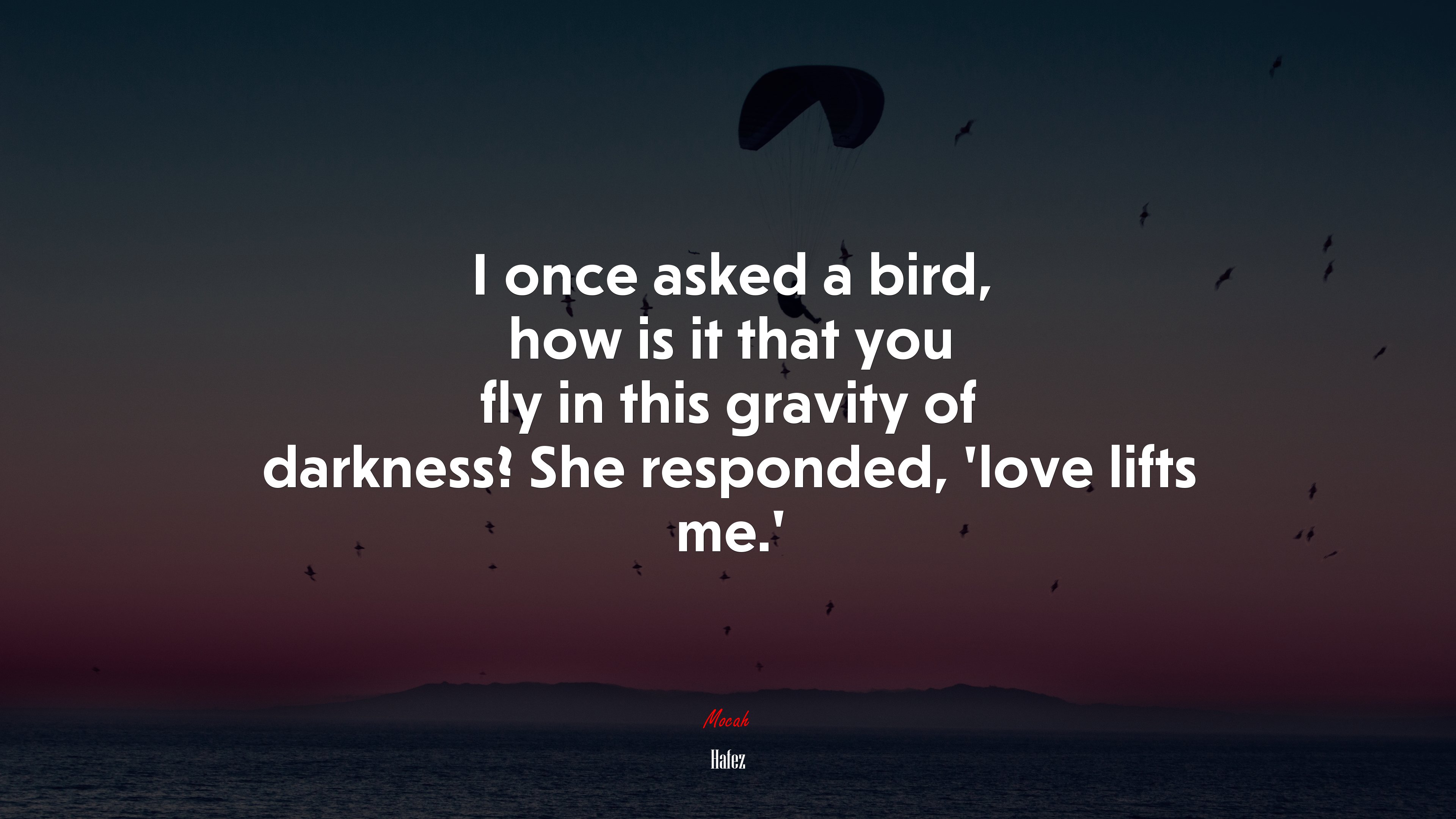 I once asked a bird, how is it that you fly in this gravity of darkness? She responded, ‘love lifts me.’ | Hafez quote HD Wallpaper