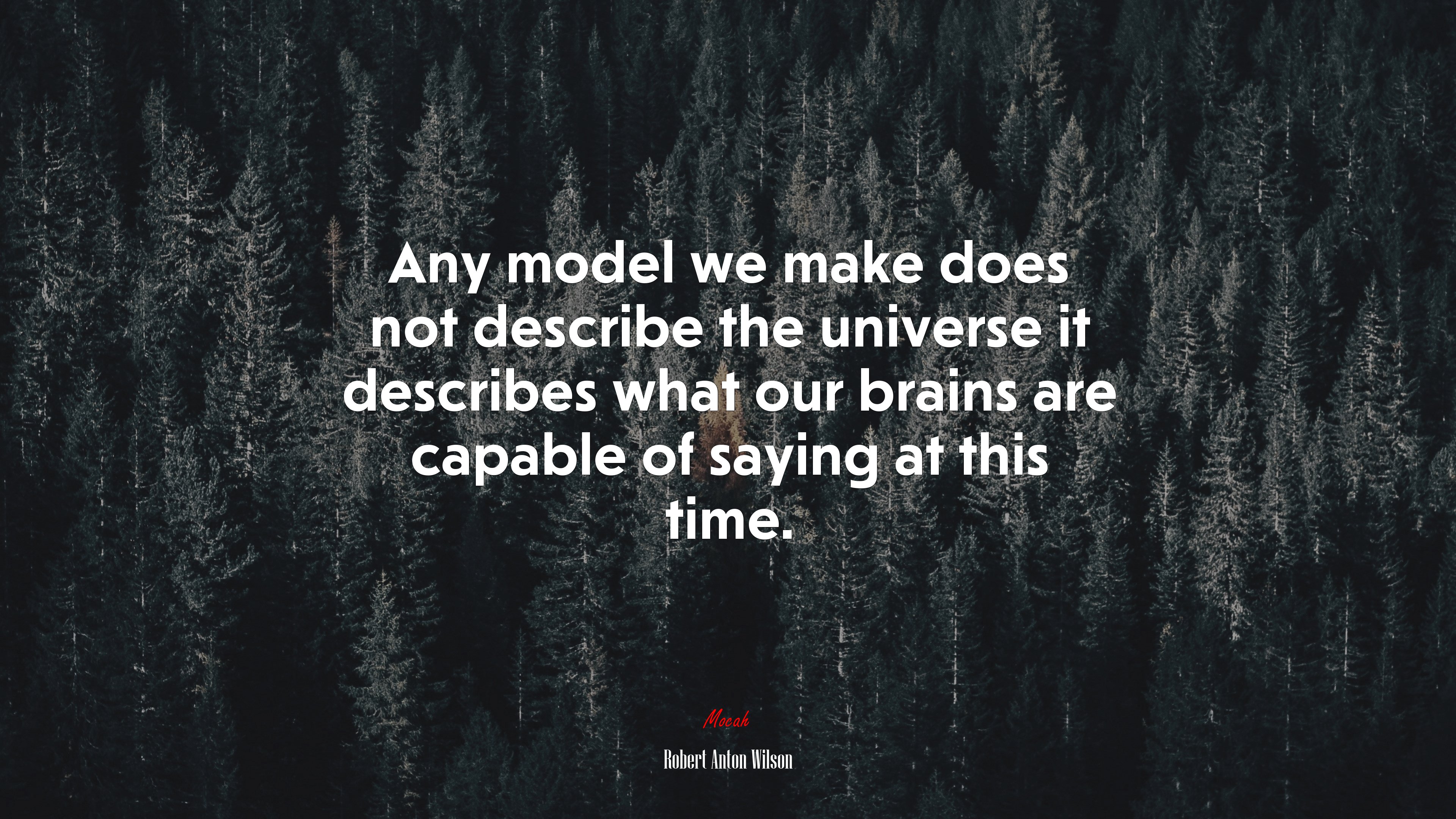 Any model we make does not describe the universe it describes what our brains are capable of saying at this time. | Robert Anton Wilson quote HD Wallpaper