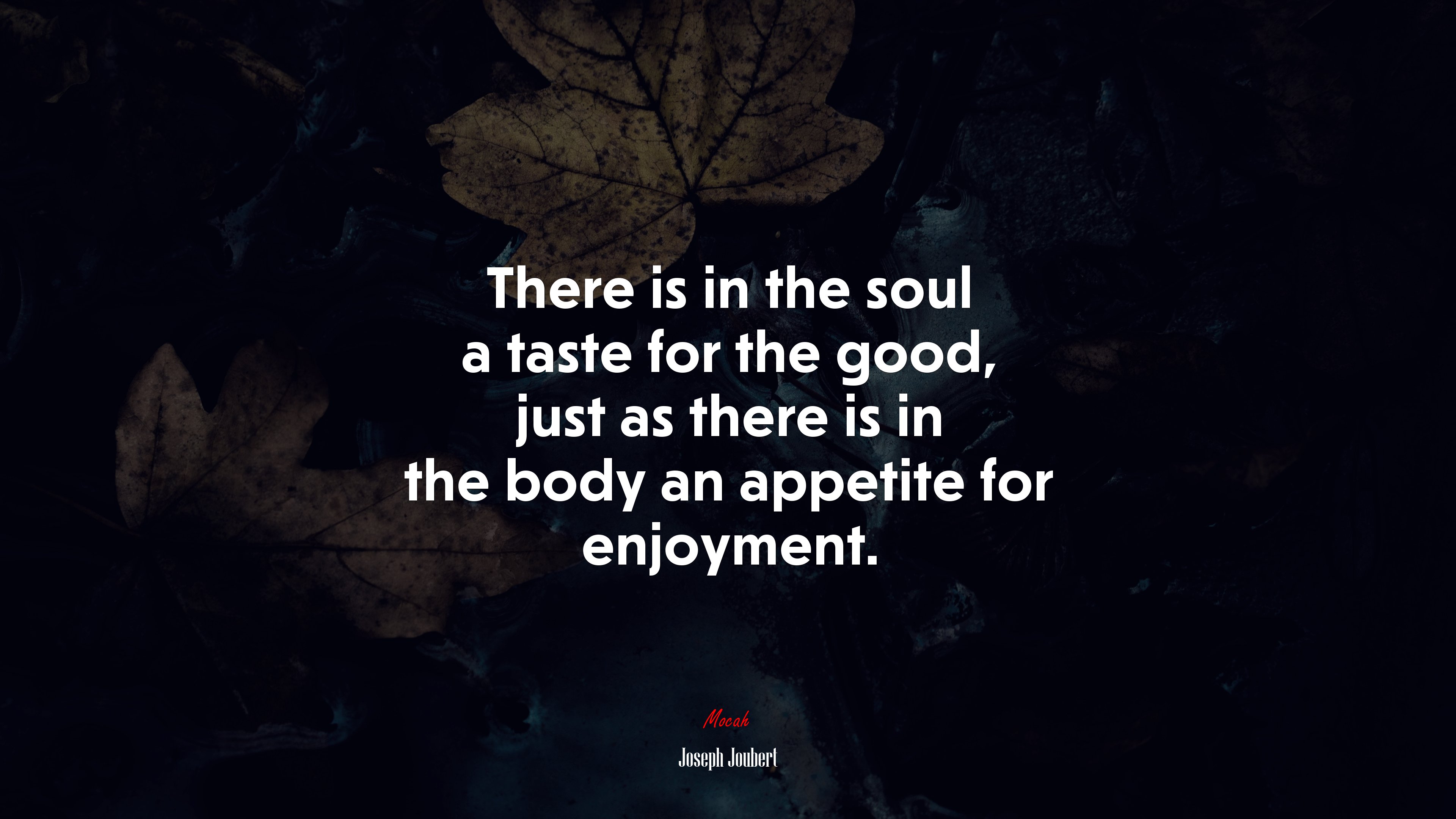 There is in the soul a taste for the good, just as there is in the body an appetite for enjoyment. | Joseph Joubert quote HD Wallpaper
