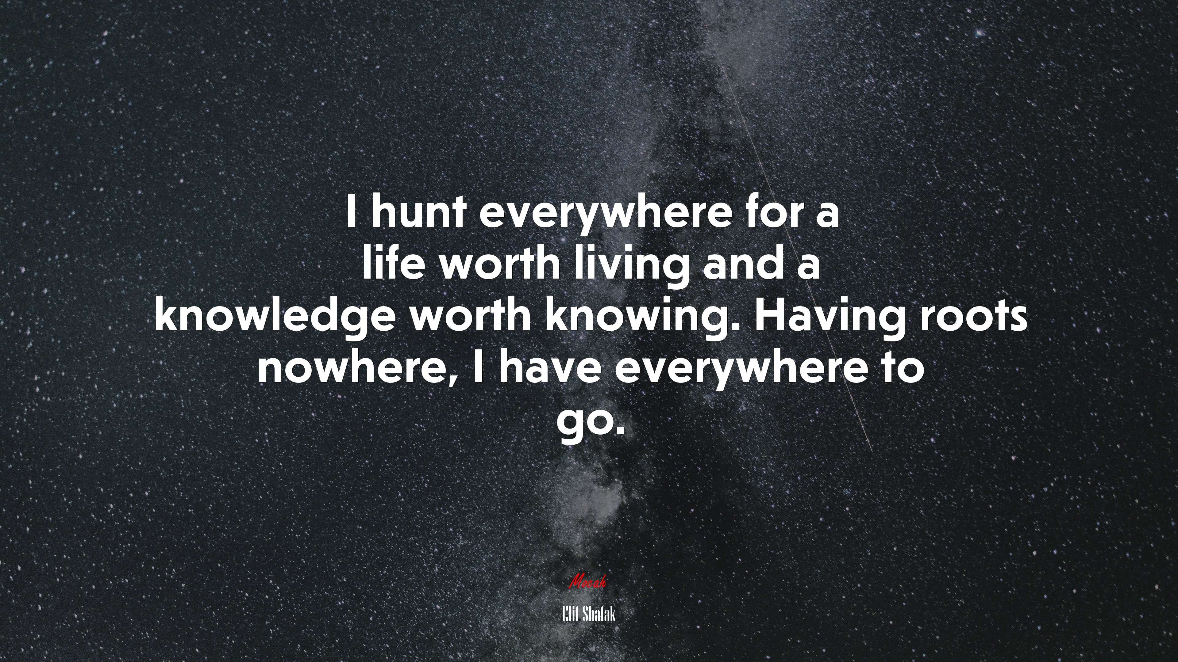 I hunt everywhere for a life worth living and a knowledge worth knowing. Having roots nowhere, I have everywhere to go. | Elif Shafak quote HD Wallpaper
