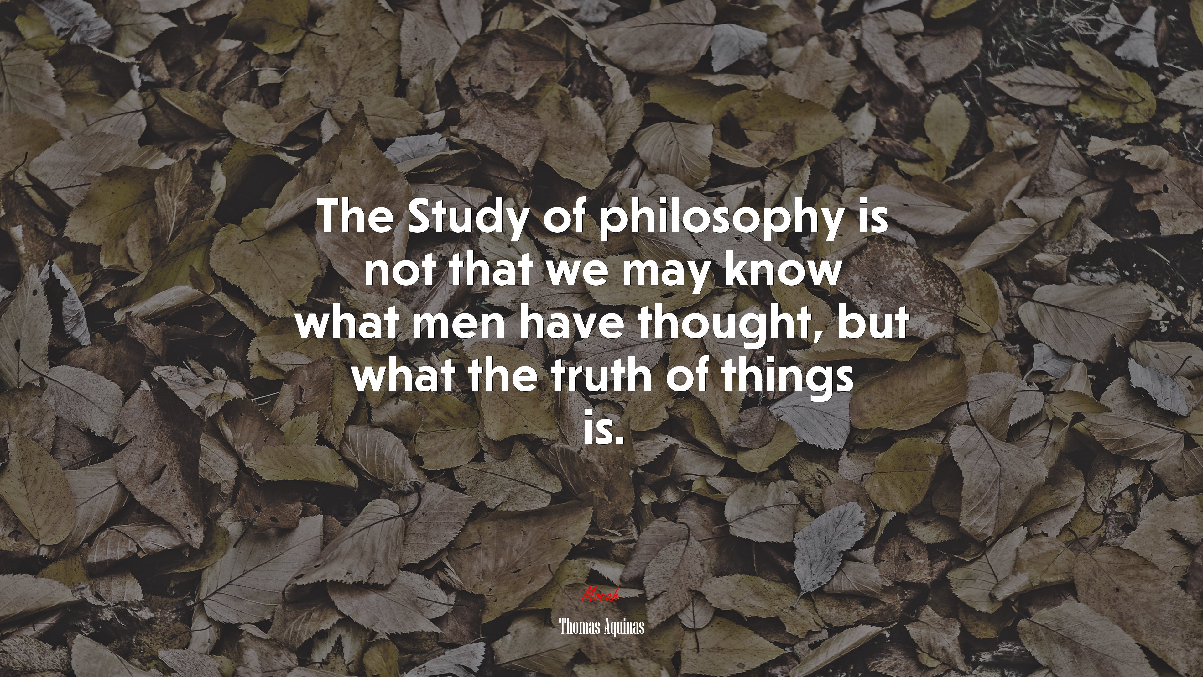 The Study of philosophy is not that we may know what men have thought, but what the truth of things is. | Thomas Aquinas quote HD Wallpaper