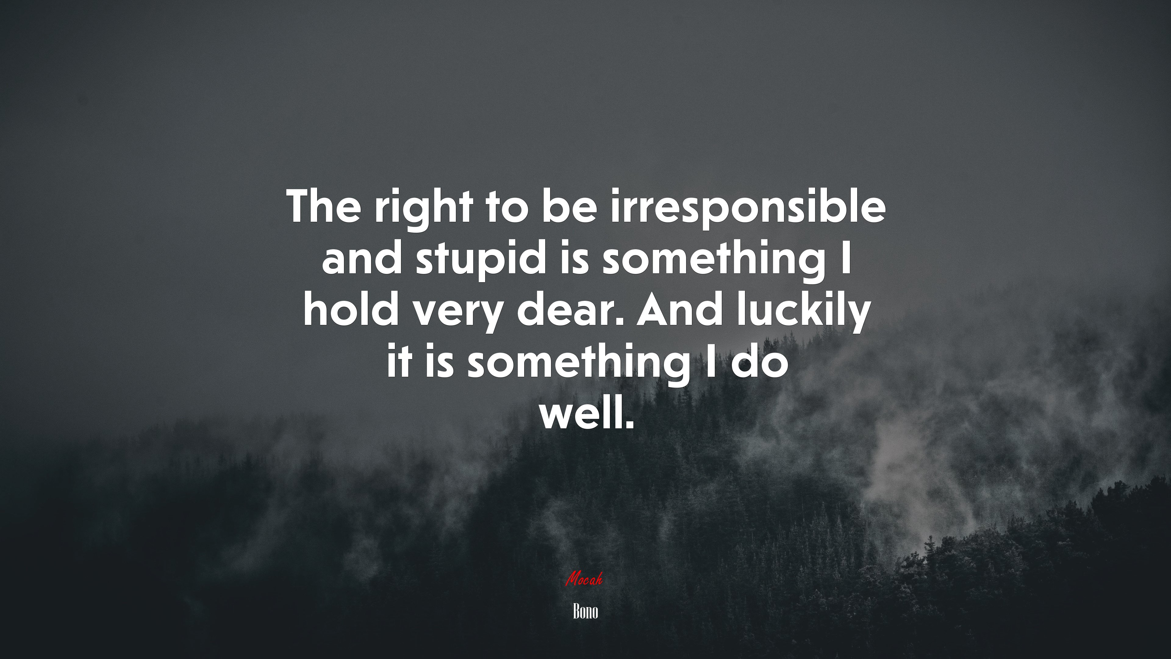 The right to be irresponsible and stupid is something I hold very dear. And luckily it is something I do well. | Bono quote HD Wallpaper
