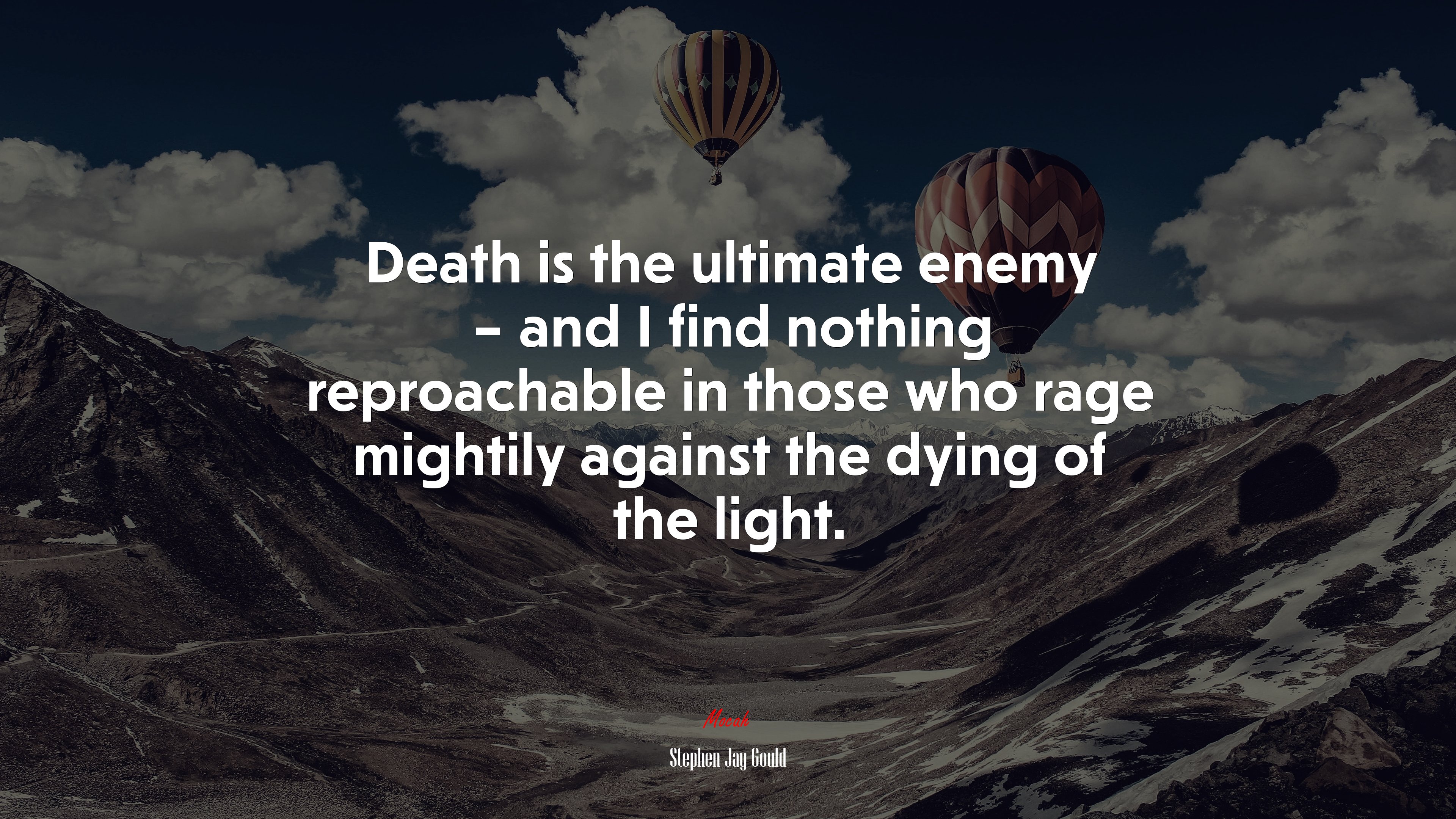 Death is the ultimate enemy – and I find nothing reproachable in those who rage mightily against the dying of the light. | Stephen Jay Gould quote HD Wallpaper