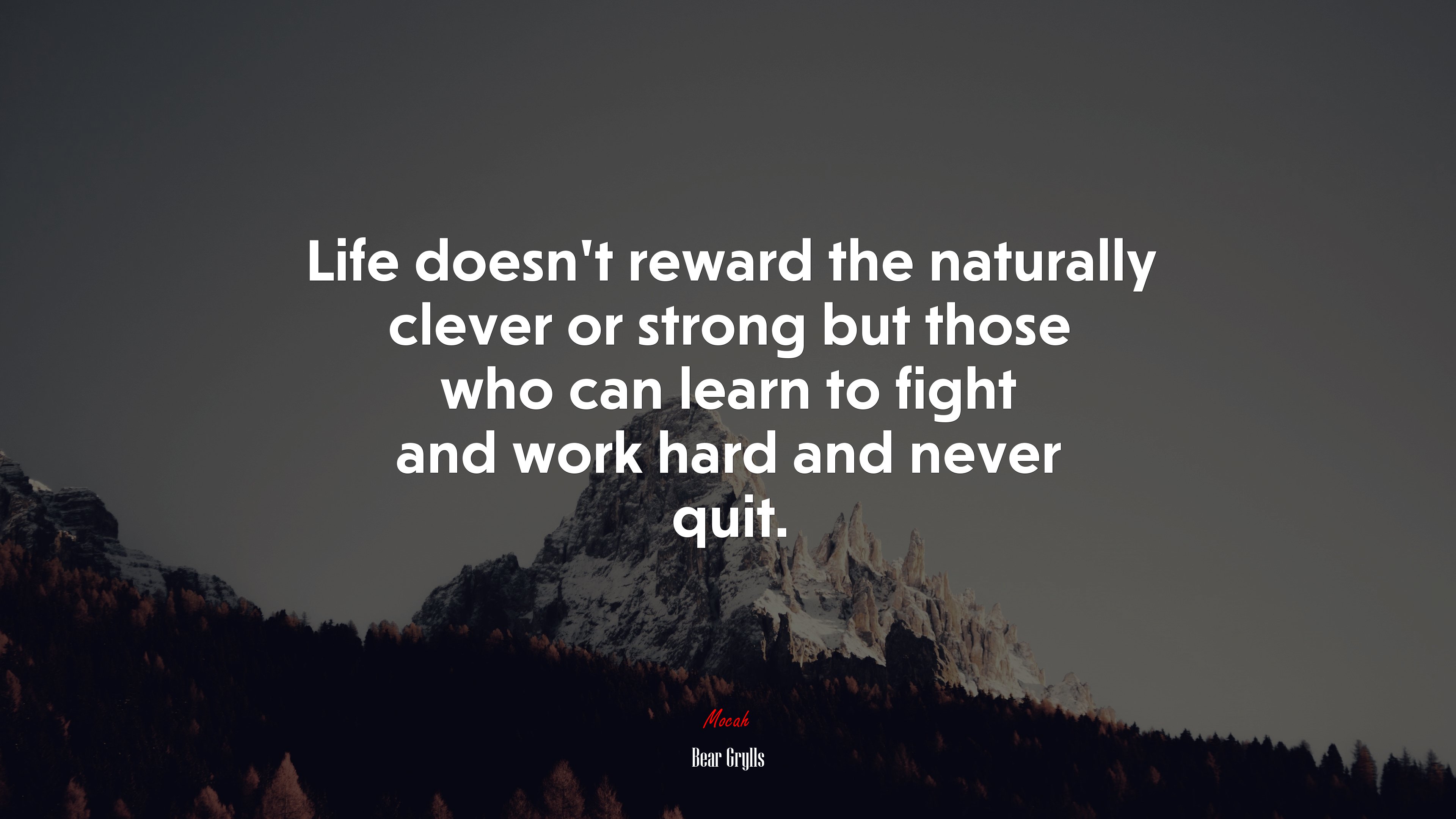 Life doesn’t reward the naturally clever or strong but those who can learn to fight and work hard and never quit. | Bear Grylls quote HD Wallpaper