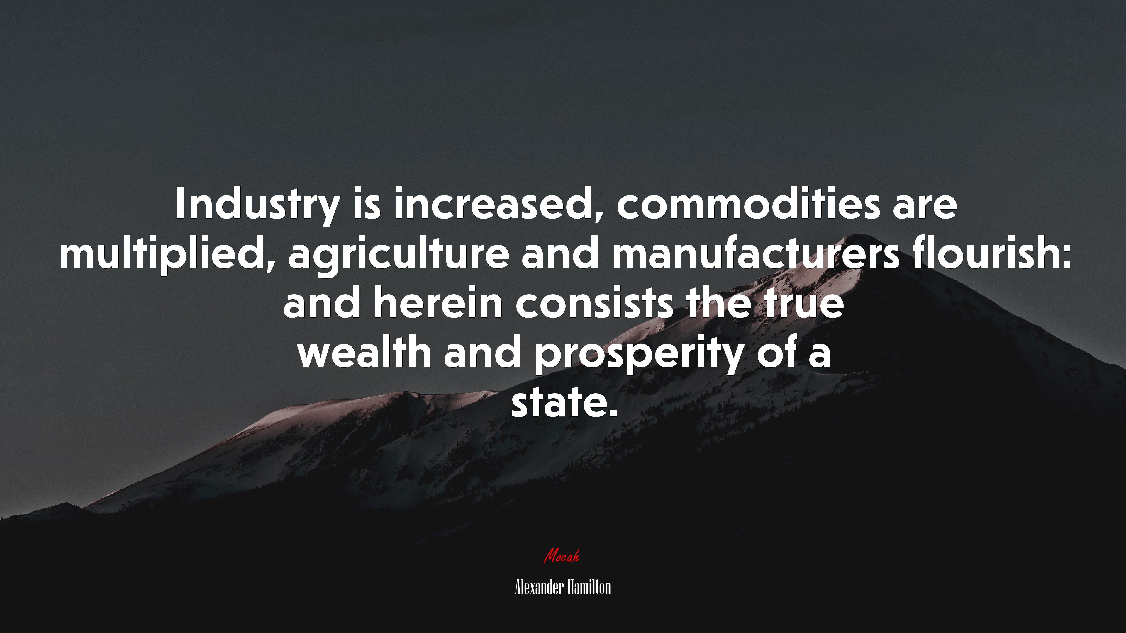 Industry is increased, commodities are multiplied, agriculture and manufacturers flourish: and herein consists the true wealth and prosperity of a state. | Alexander Hamilton quote HD Wallpaper