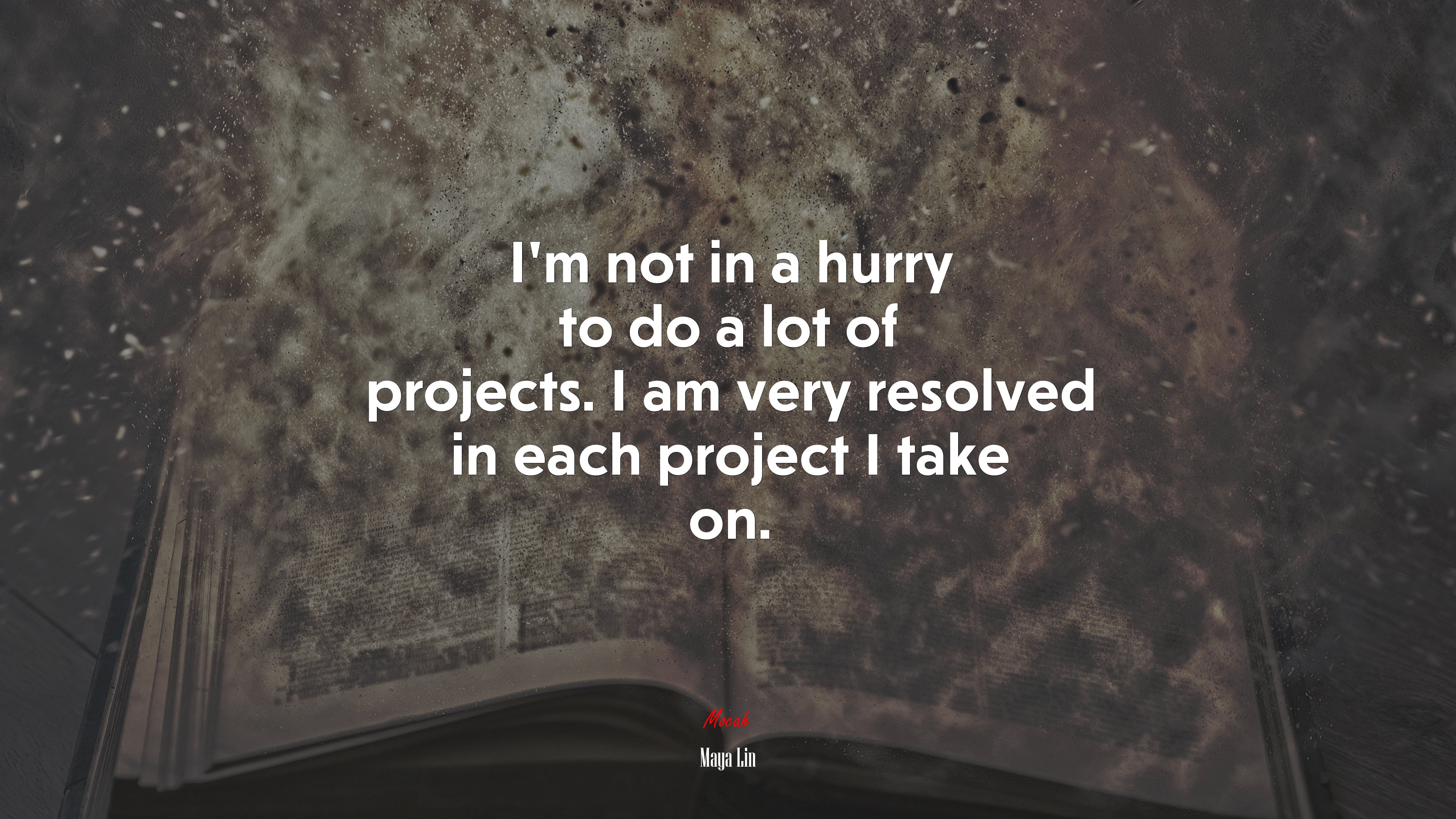 I’m not in a hurry to do a lot of projects. I am very resolved in each project I take on. | Maya Lin quote HD Wallpaper