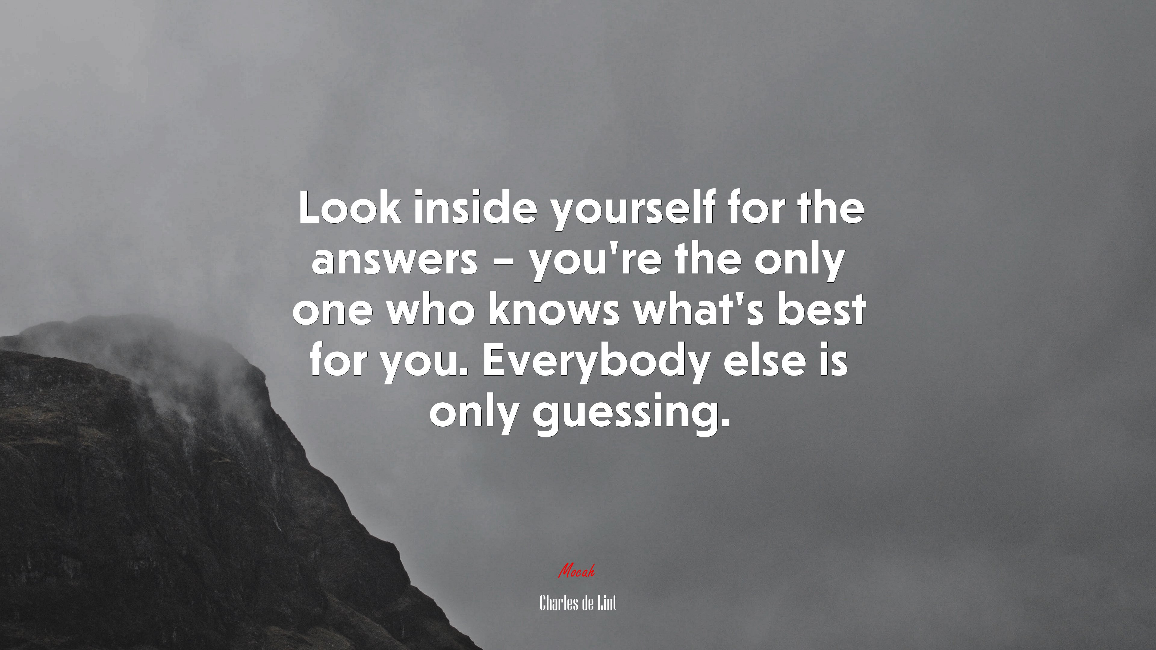 Look inside yourself for the answers – you’re the only one who knows what’s best for you. Everybody else is only guessing. | Charles de Lint quote HD Wallpaper
