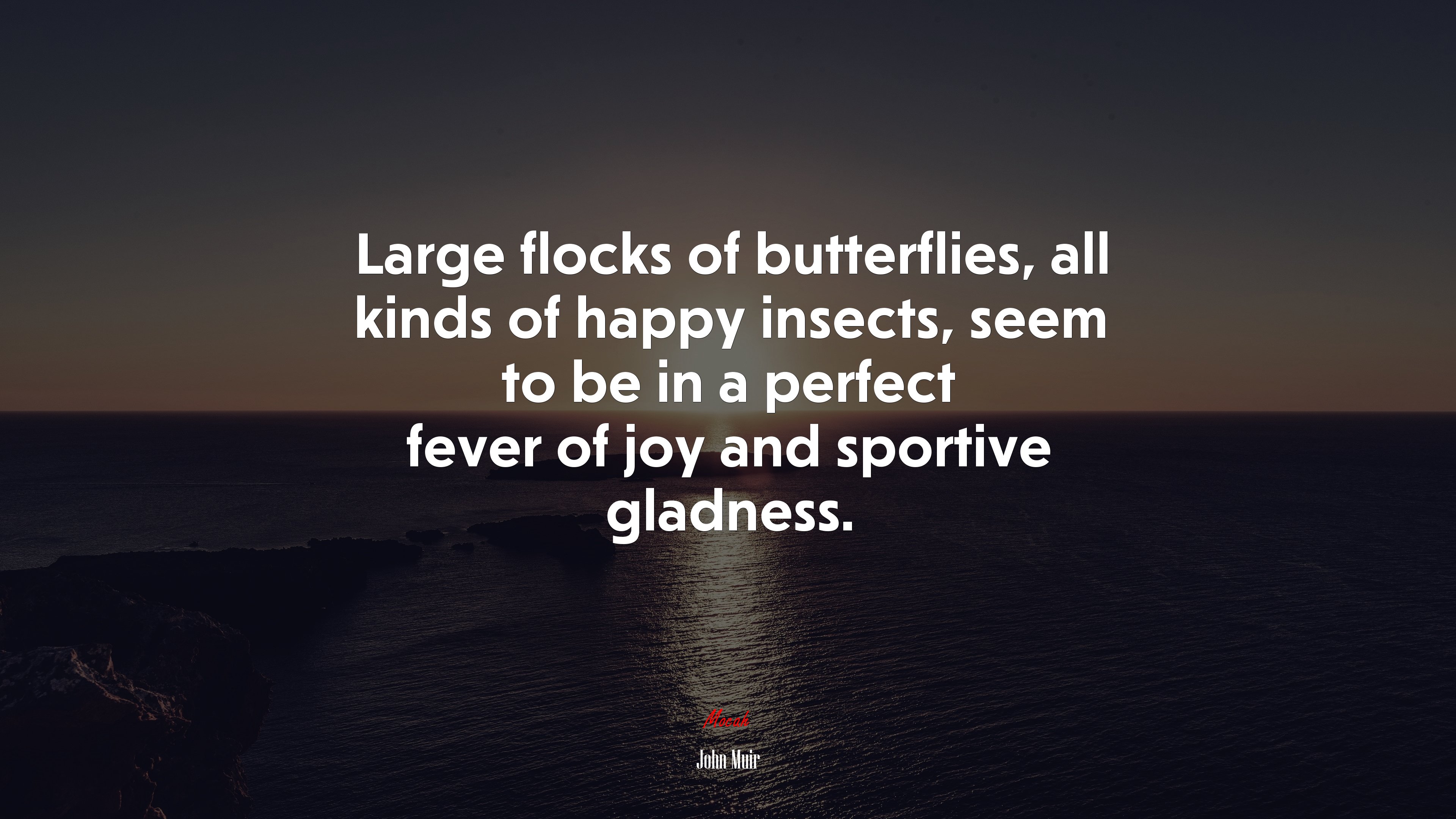 Large flocks of butterflies, all kinds of happy insects, seem to be in a perfect fever of joy and sportive gladness. | John Muir quote HD Wallpaper