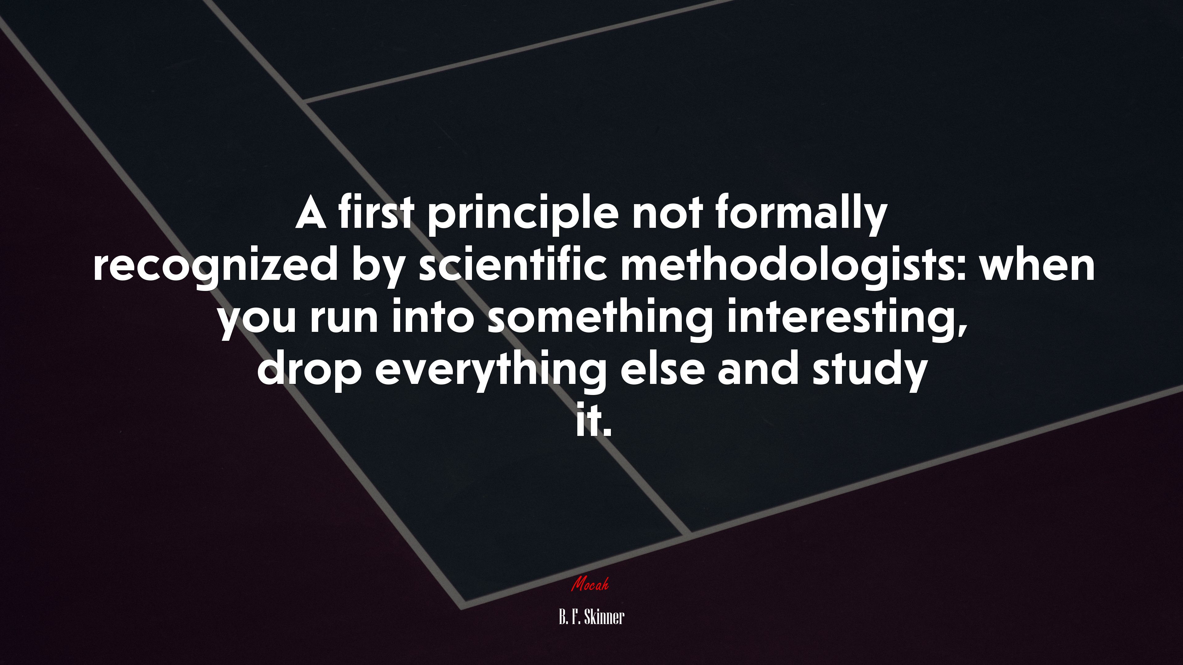 A first principle not formally recognized by scientific methodologists: when you run into something interesting, drop everything else and study it. | B. F. Skinner quote HD Wallpaper