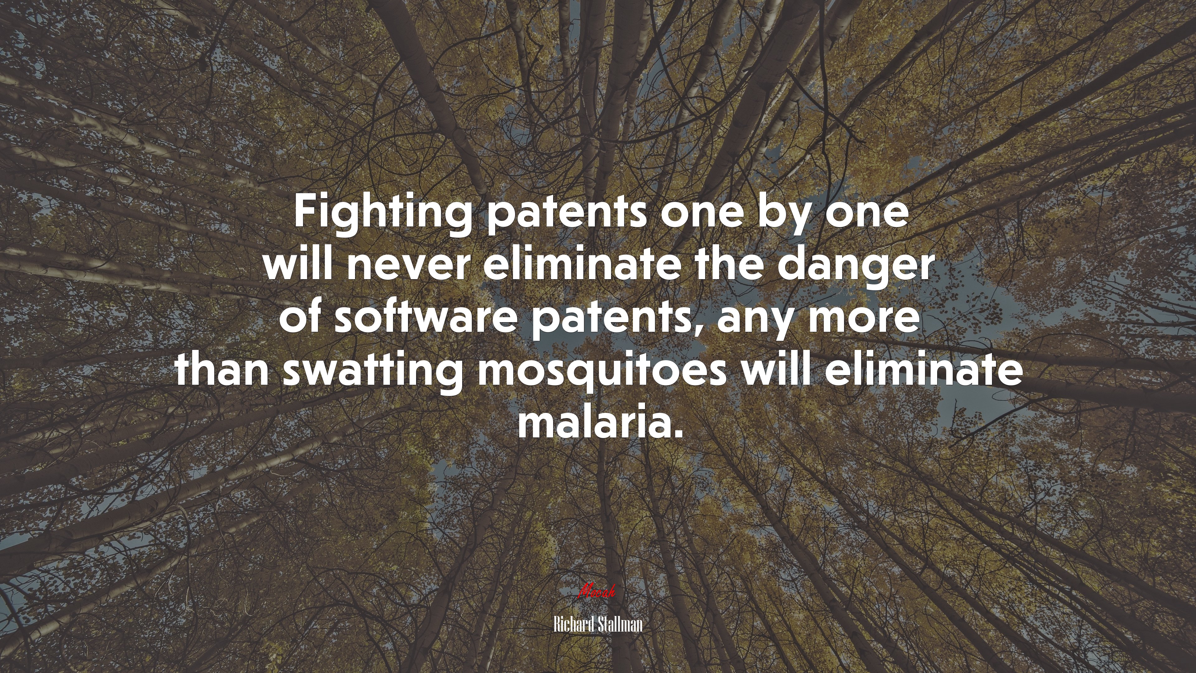 Fighting patents one by one will never eliminate the danger of software patents, any more than swatting mosquitoes will eliminate malaria. | Richard Stallman quote HD Wallpaper