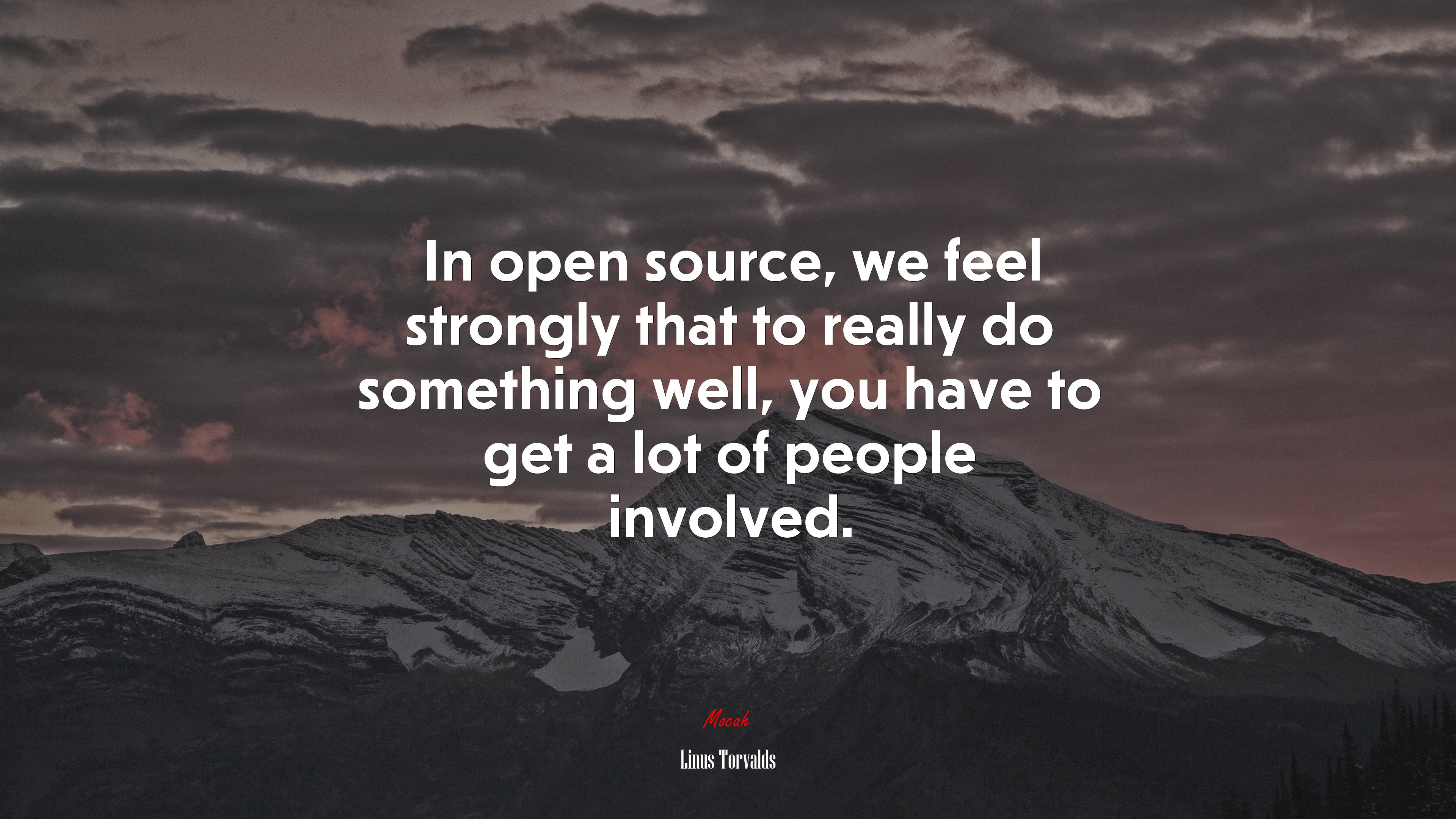 In open source, we feel strongly that to really do something well, you have to get a lot of people involved. | Linus Torvalds quote HD Wallpaper