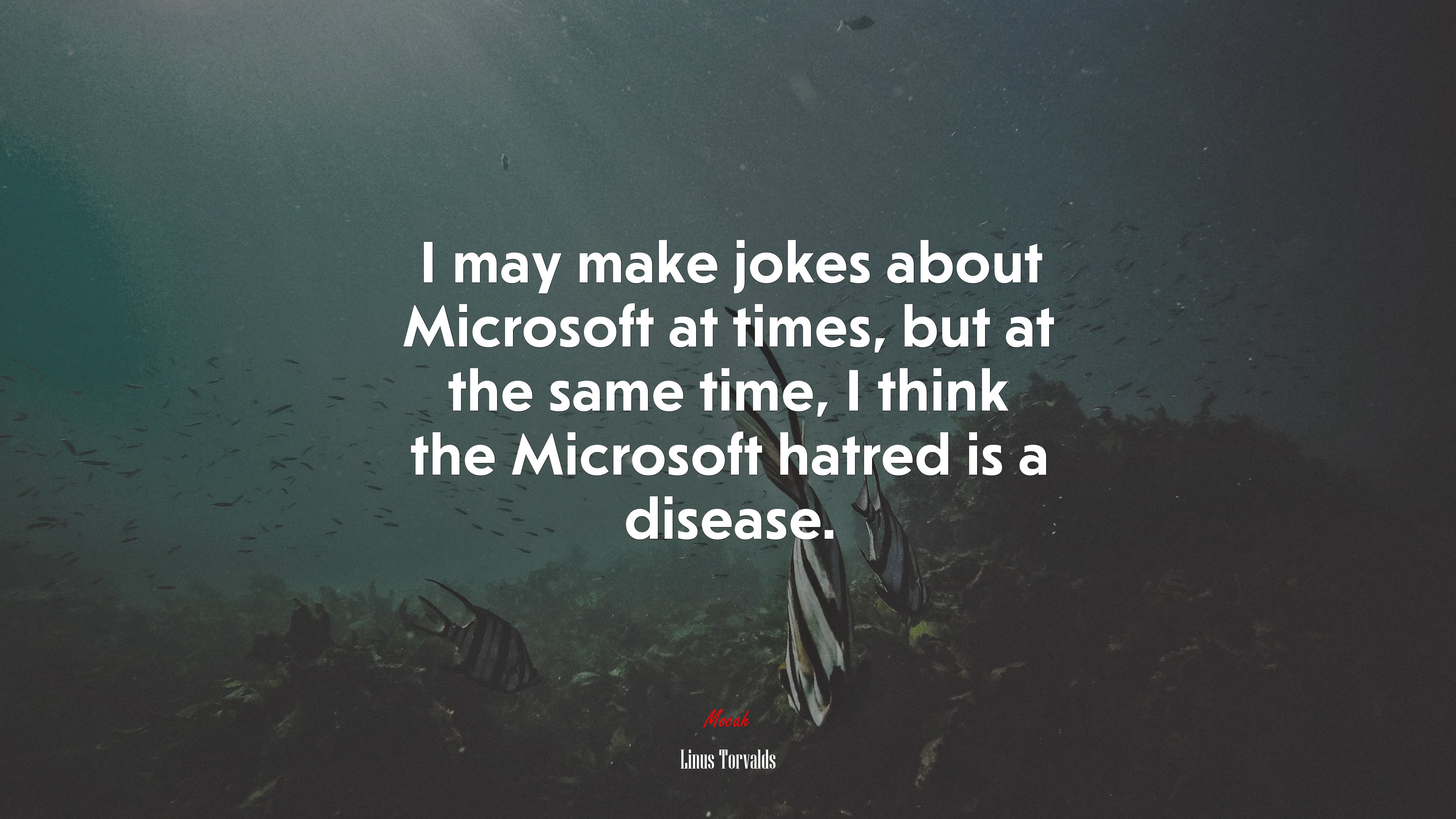 I may make jokes about Microsoft at times, but at the same time, I think the Microsoft hatred is a disease. | Linus Torvalds quote HD Wallpaper
