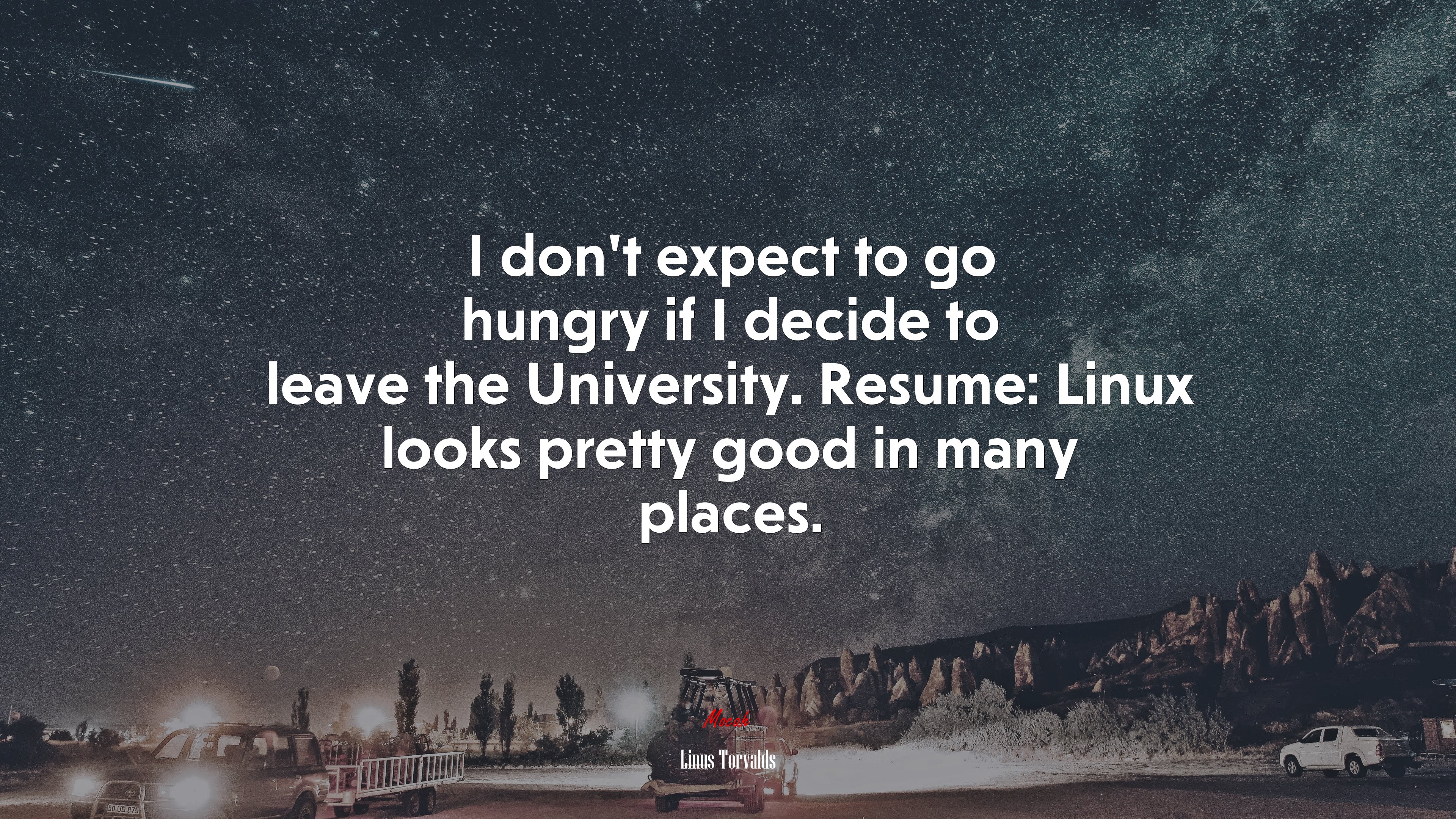 I don’t expect to go hungry if I decide to leave the University. Resume: Linux looks pretty good in many places. | Linus Torvalds quote HD Wallpaper