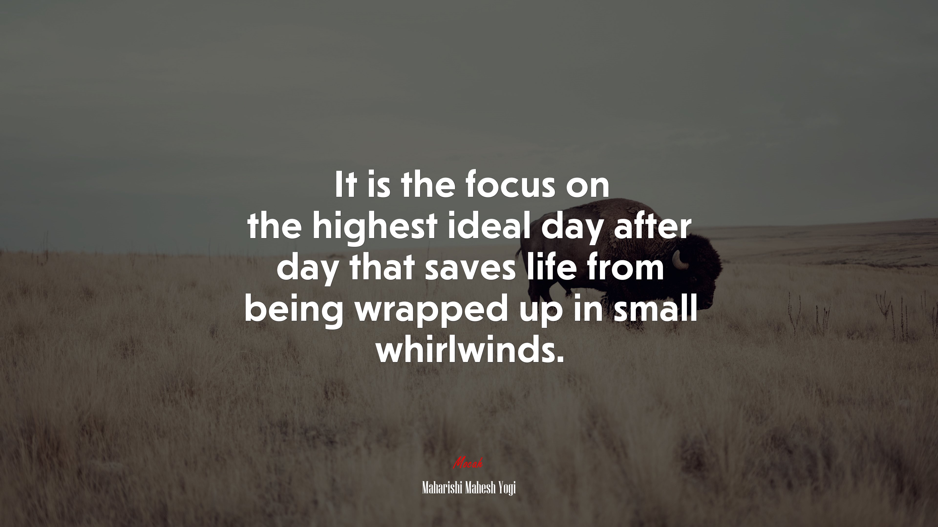 It is the focus on the highest ideal day after day that saves life from being wrapped up in small whirlwinds. | Maharishi Mahesh Yogi quote HD Wallpaper