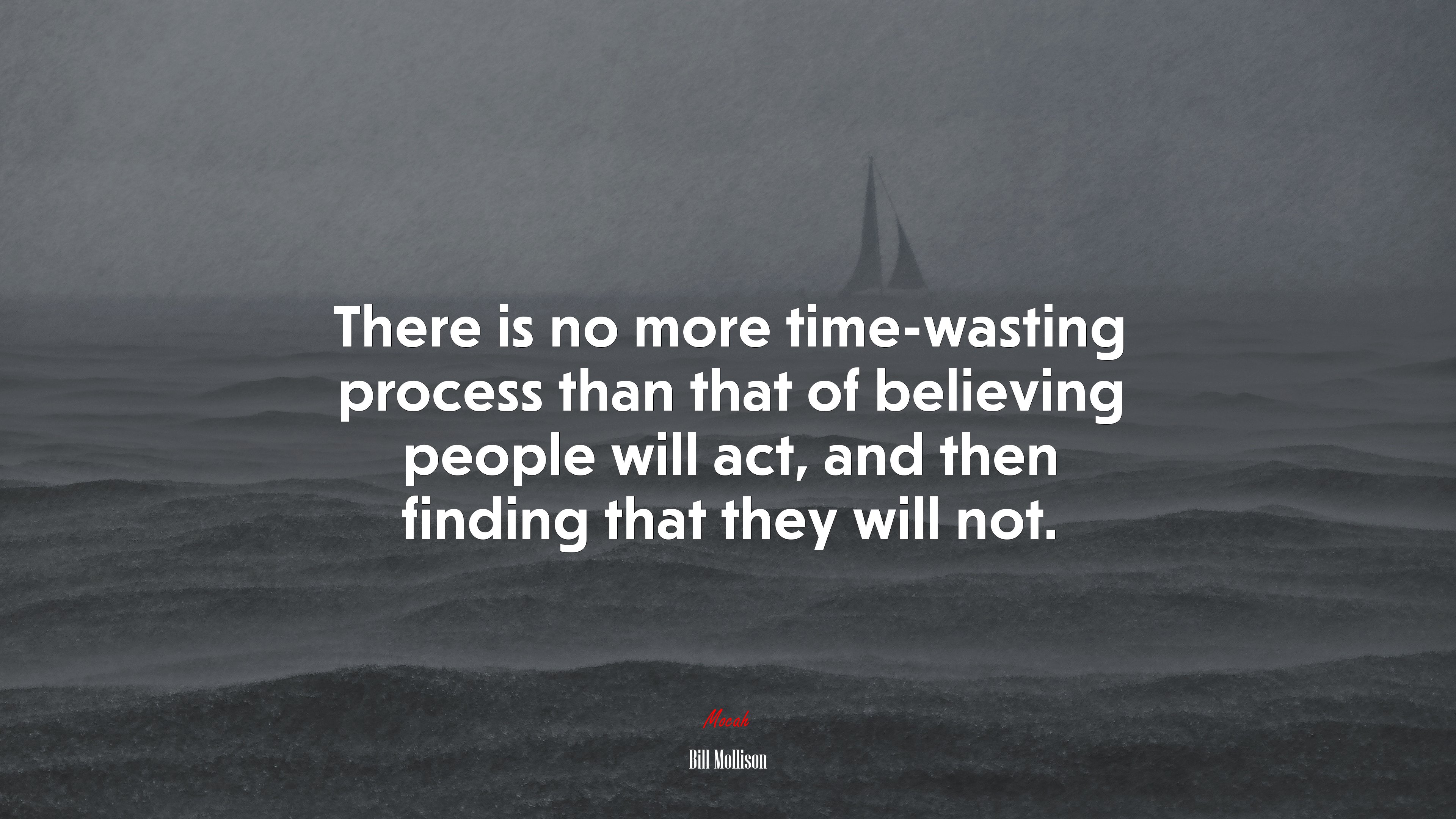 There is no more time-wasting process than that of believing people will act, and then finding that they will not. | Bill Mollison quote HD Wallpaper