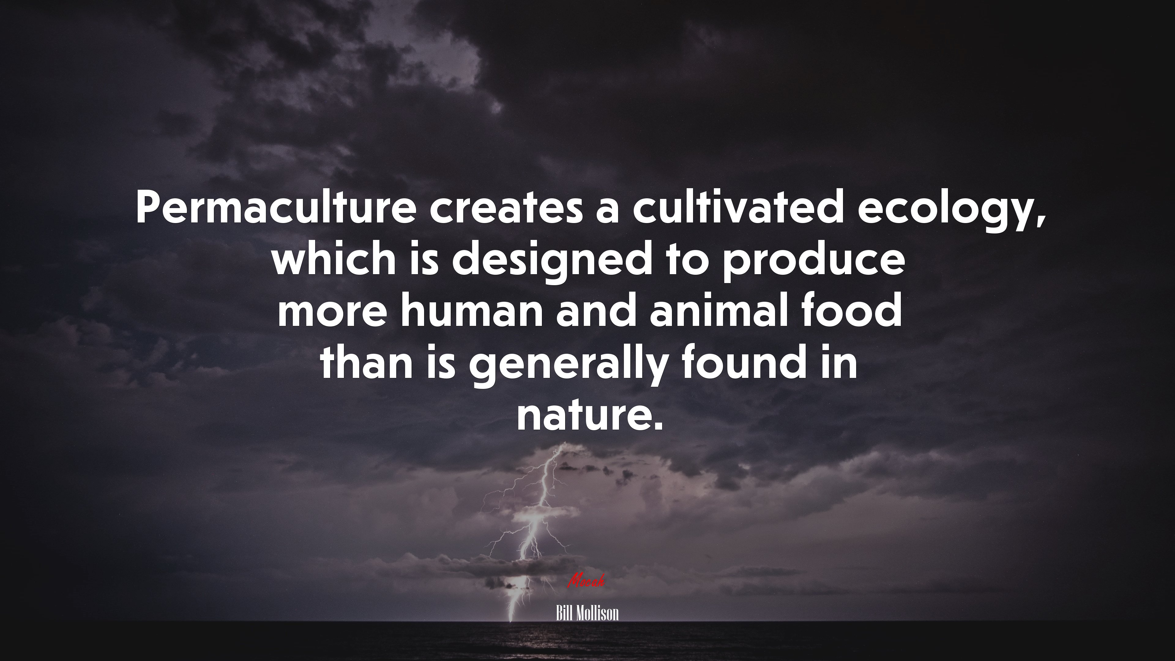 Permaculture creates a cultivated ecology, which is designed to produce more human and animal food than is generally found in nature. | Bill Mollison quote HD Wallpaper