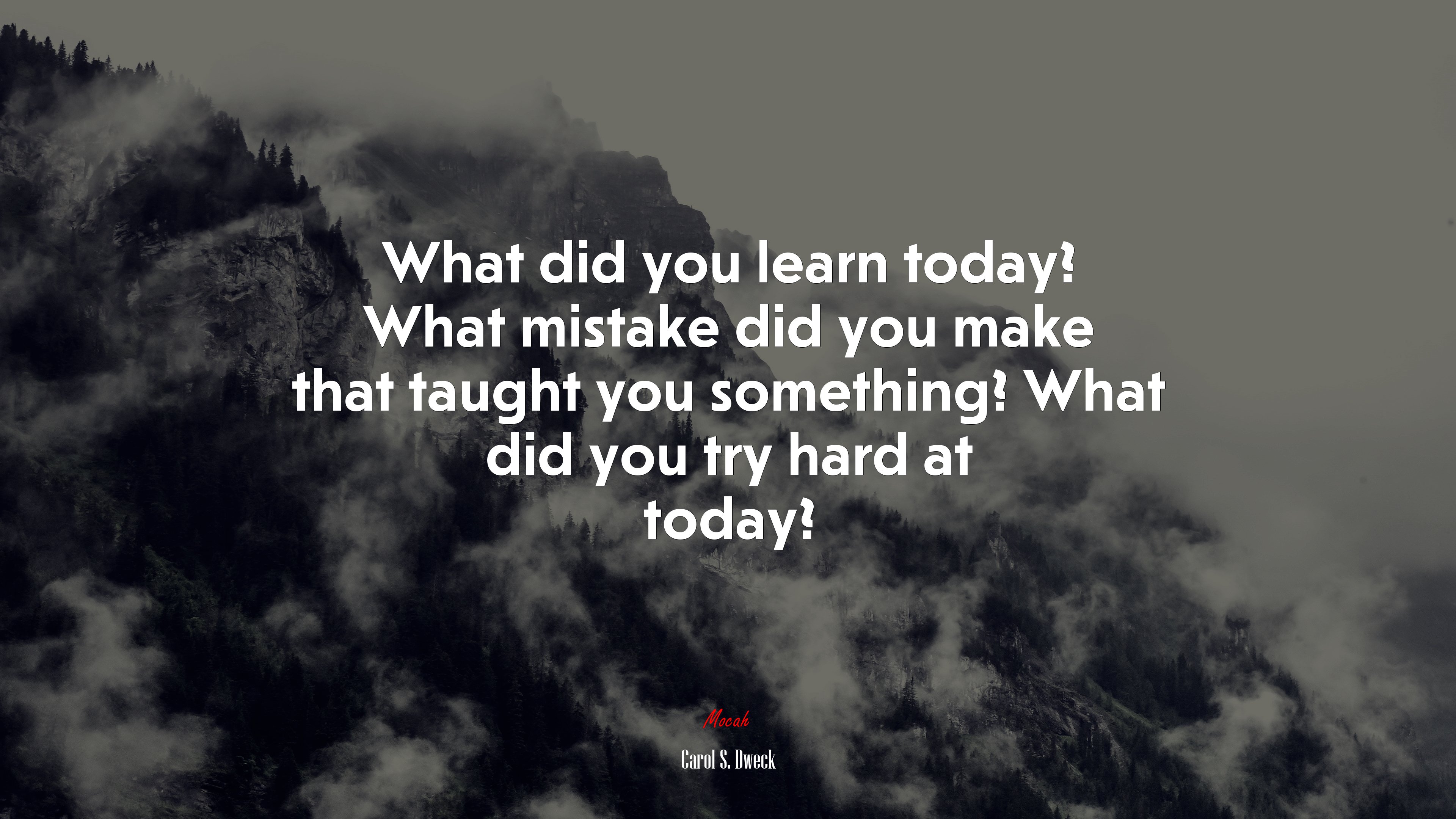 What did you learn today? What mistake did you make that taught you something? What did you try hard at today? | Carol S. Dweck quote HD Wallpaper