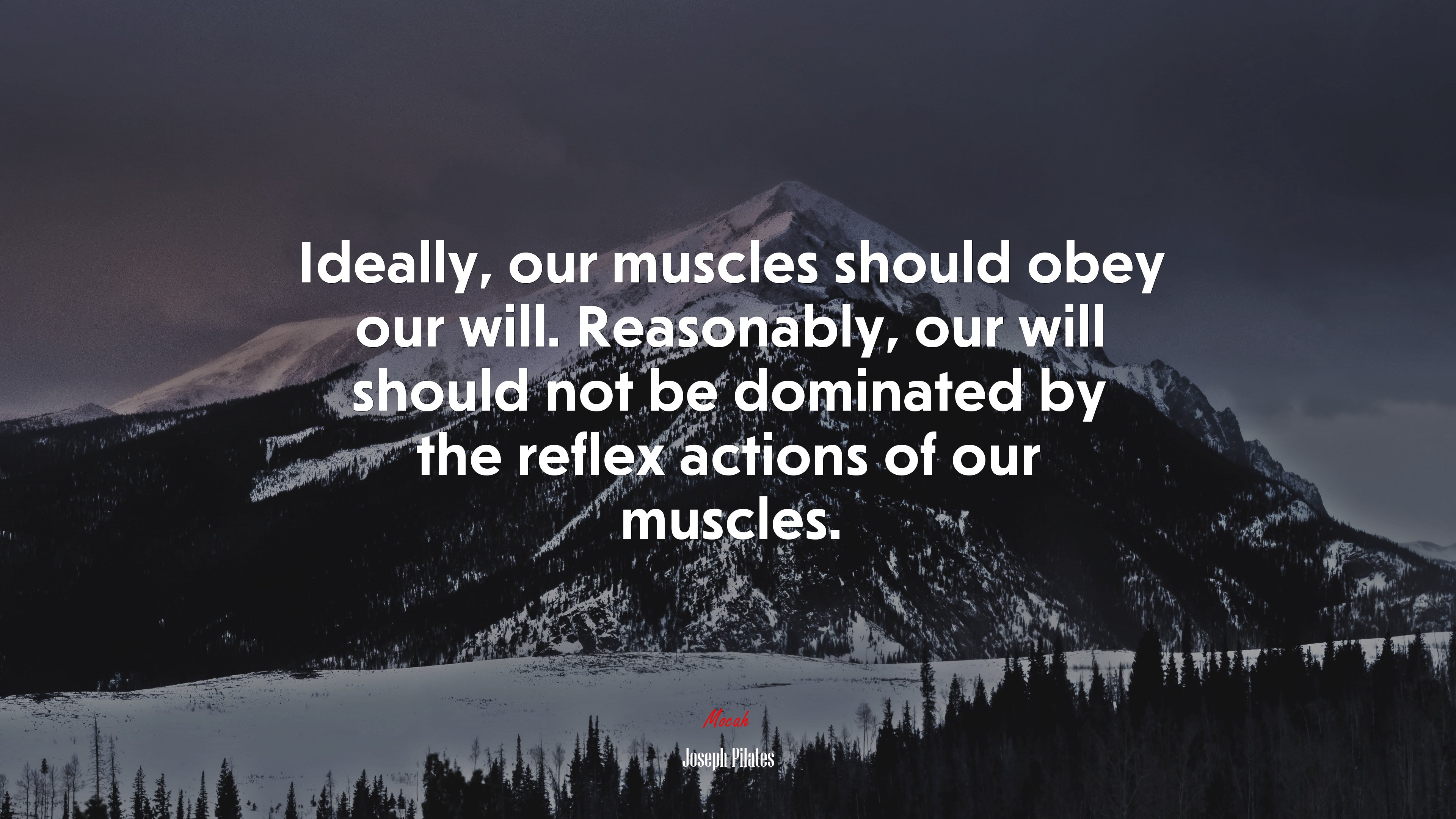 Ideally, our muscles should obey our will. Reasonably, our will should not be dominated by the reflex actions of our muscles. | Joseph Pilates quote HD Wallpaper