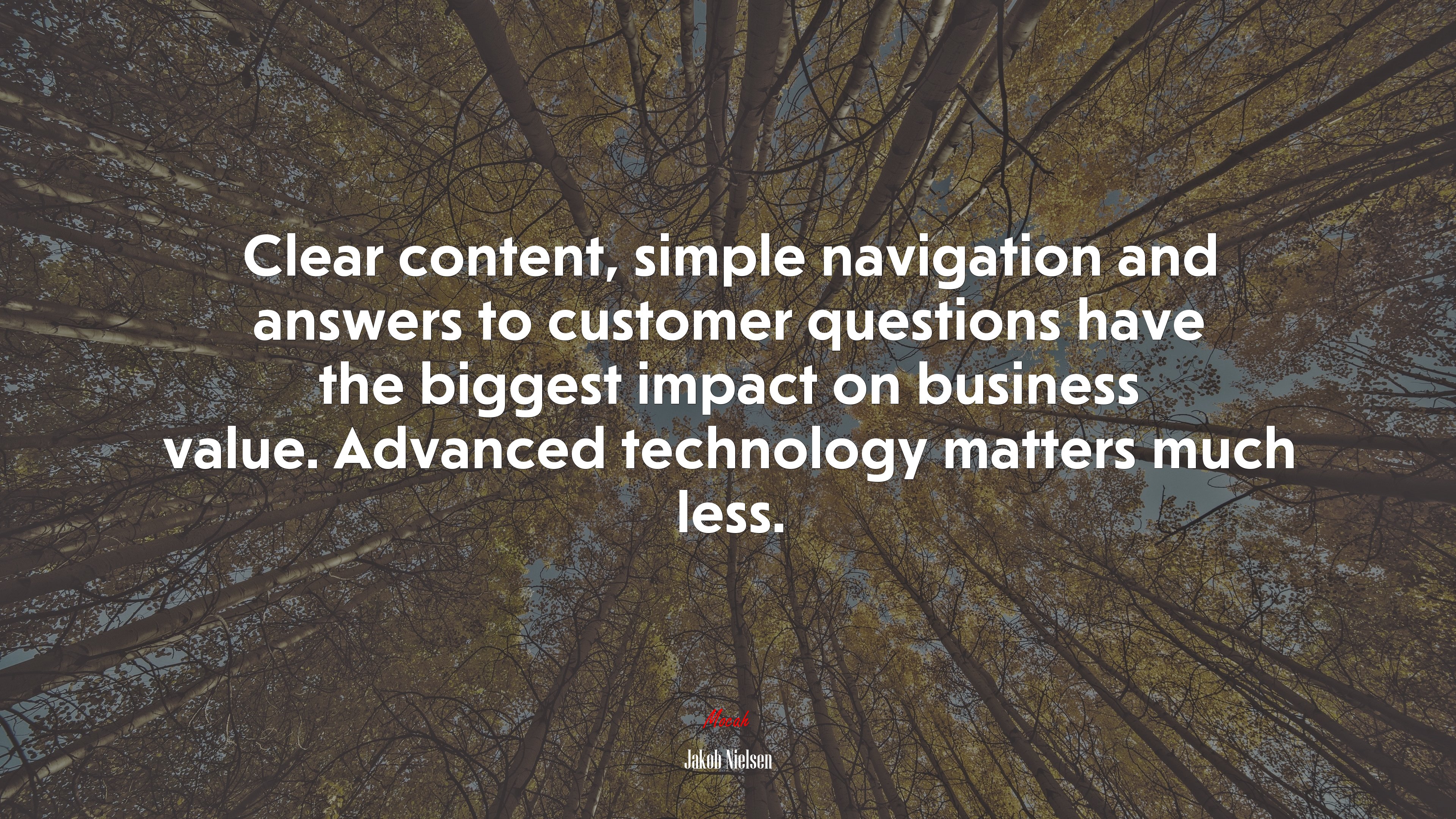 Clear content, simple navigation and answers to customer questions have the biggest impact on business value. Advanced technology matters much less. | Jakob Nielsen quote HD Wallpaper