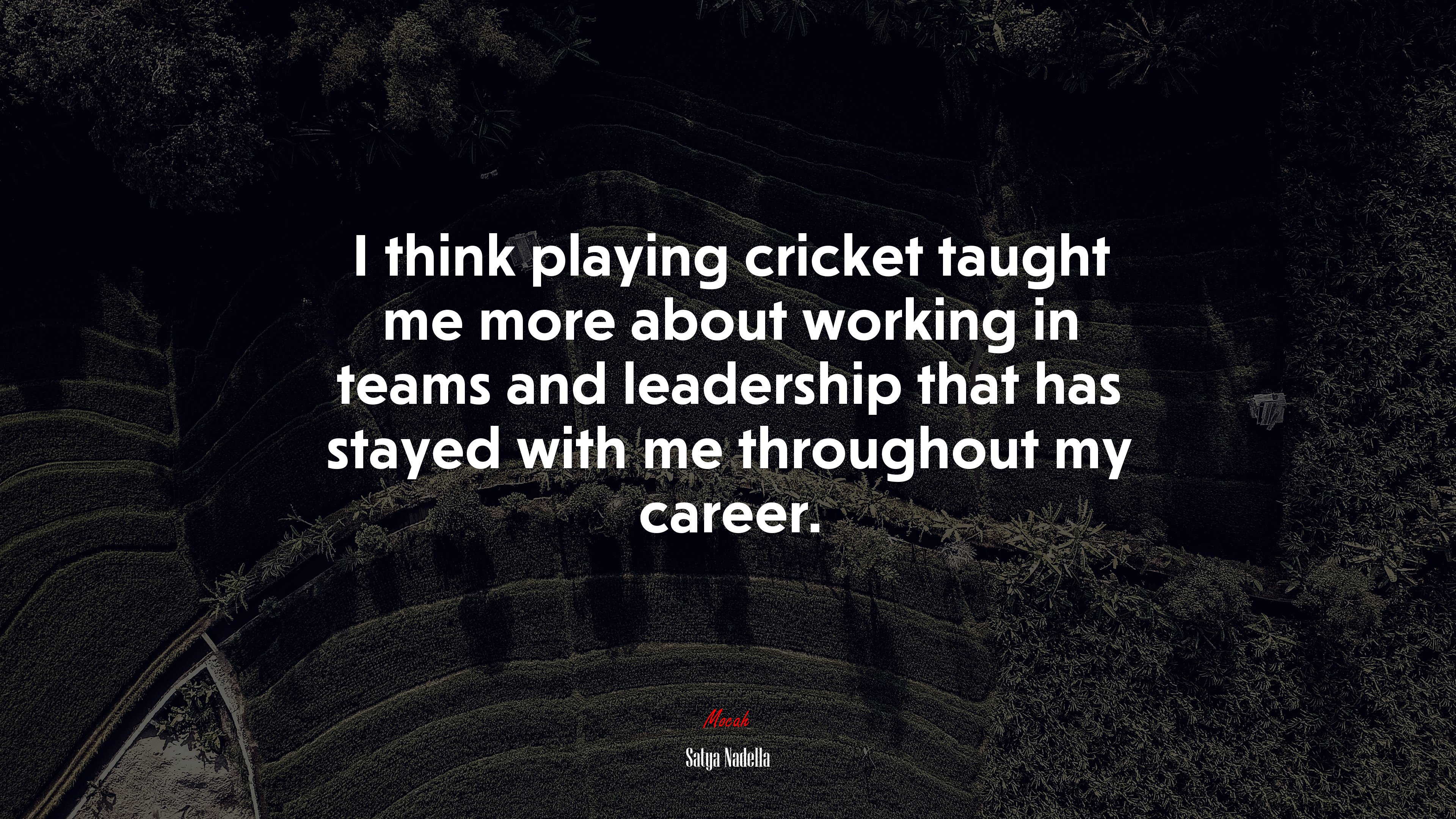 I think playing cricket taught me more about working in teams and leadership that has stayed with me throughout my career. | Satya Nadella quote HD Wallpaper