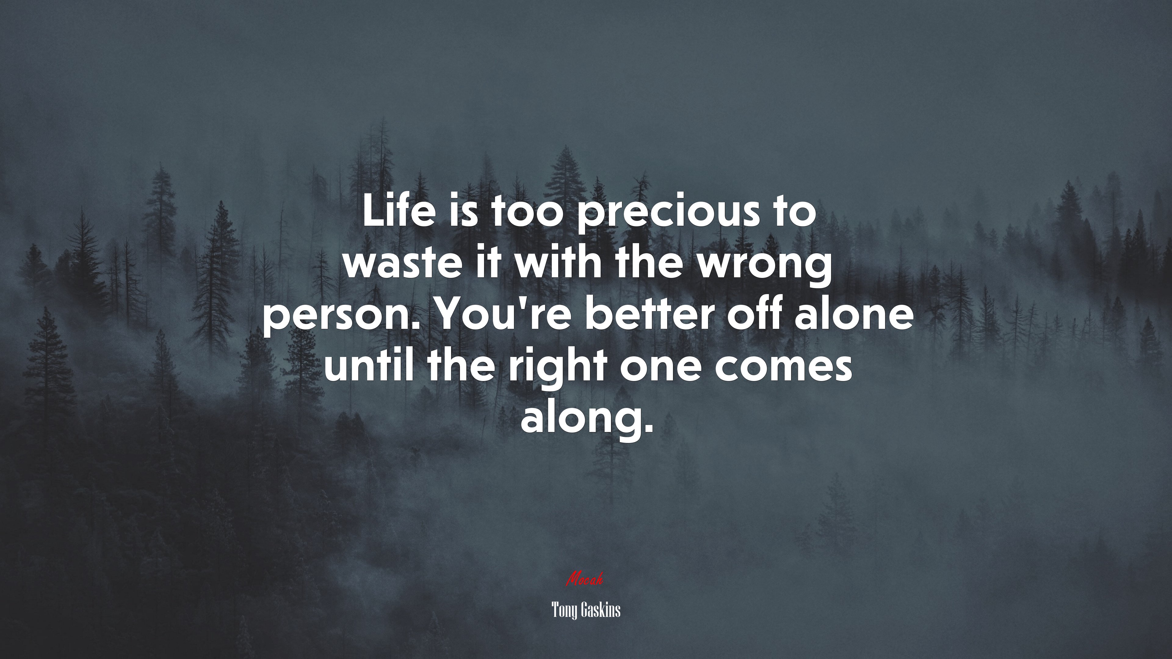 Life is too precious to waste it with the wrong person. You’re better off alone until the right one comes along. | Tony Gaskins quote HD Wallpaper