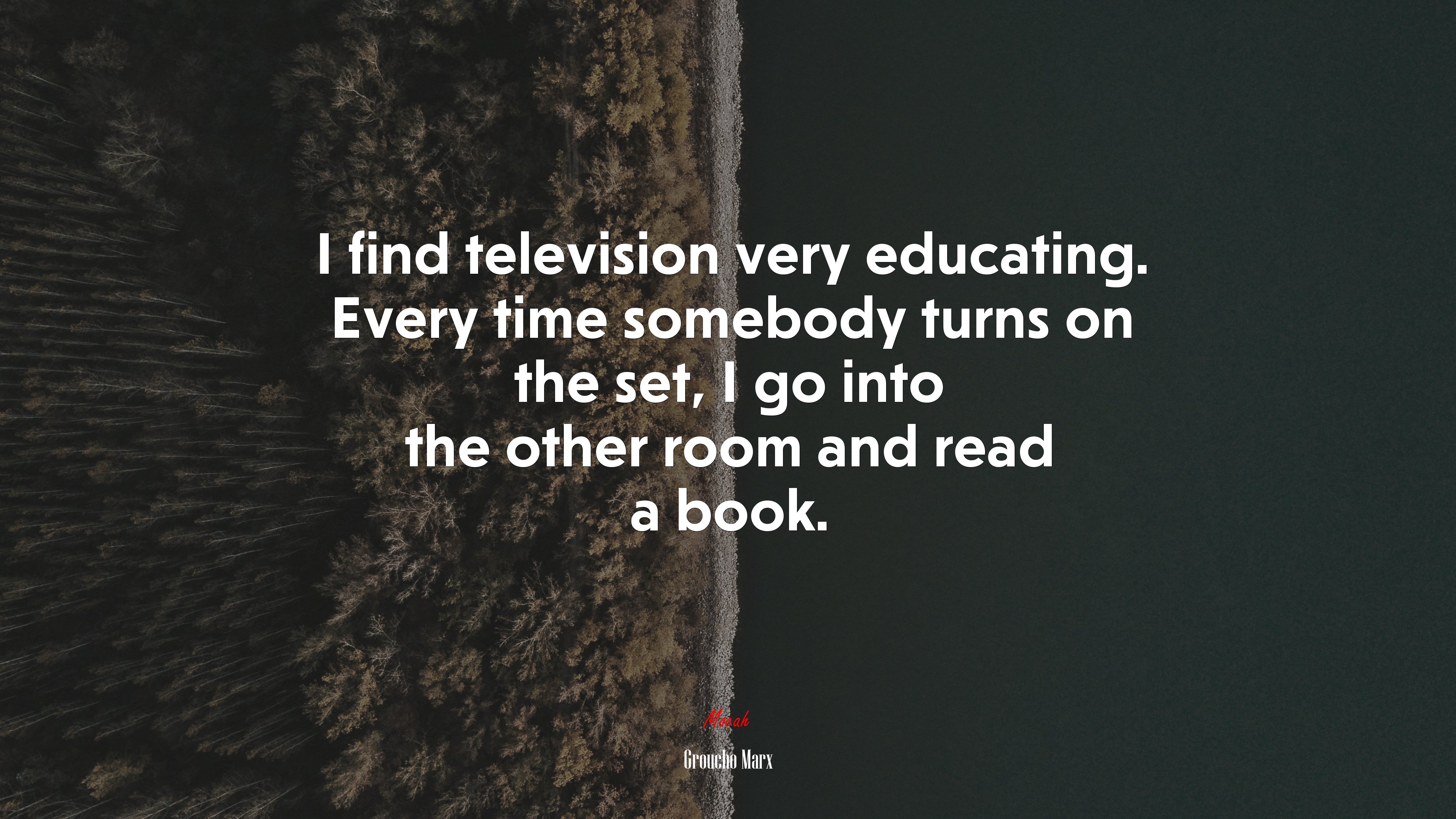 I find television very educating. Every time somebody turns on the set, I go into the other room and read a book. | Groucho Marx quote HD Wallpaper
