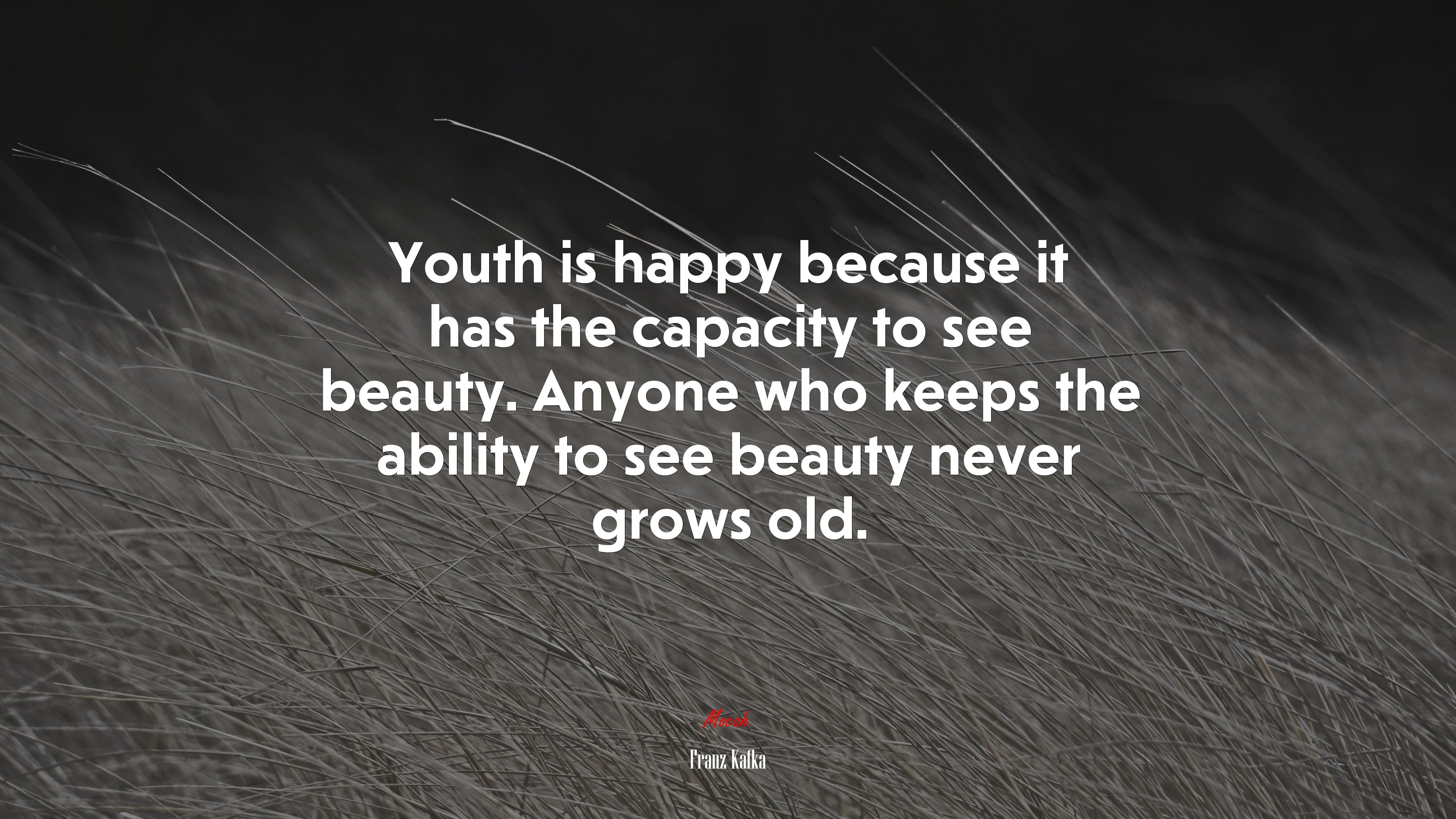 Youth is happy because it has the capacity to see beauty. Anyone who keeps the ability to see beauty never grows old. | Franz Kafka quote HD Wallpaper
