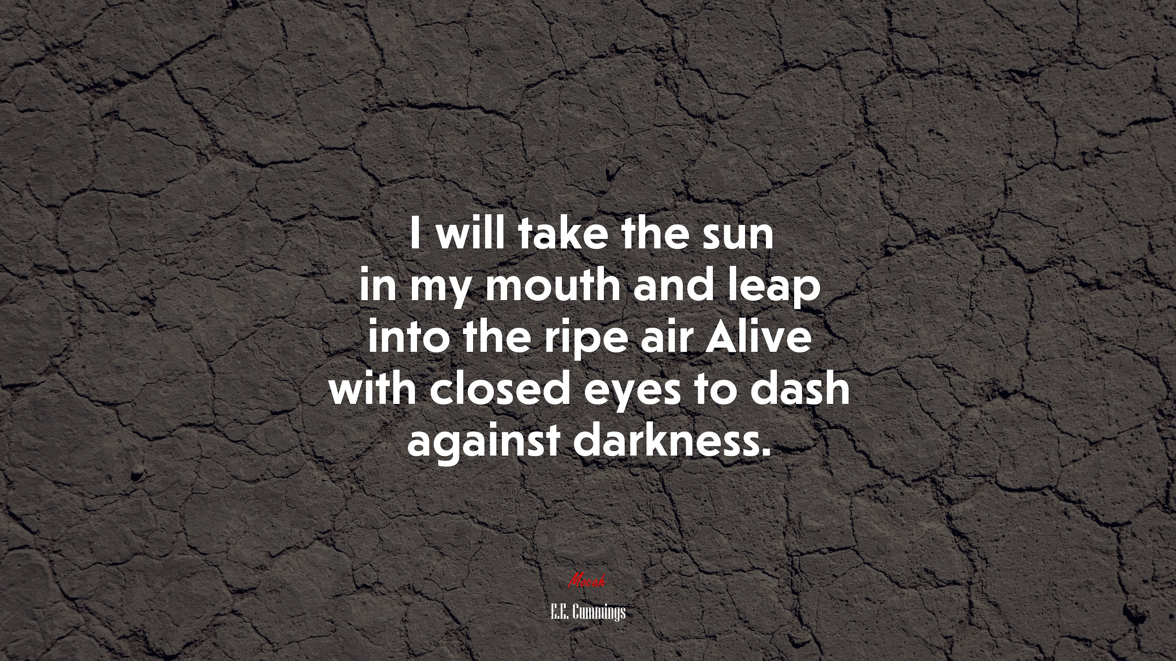 I will take the sun in my mouth and leap into the ripe air Alive with closed eyes to dash against darkness. | E.E. Cummings quote HD Wallpaper