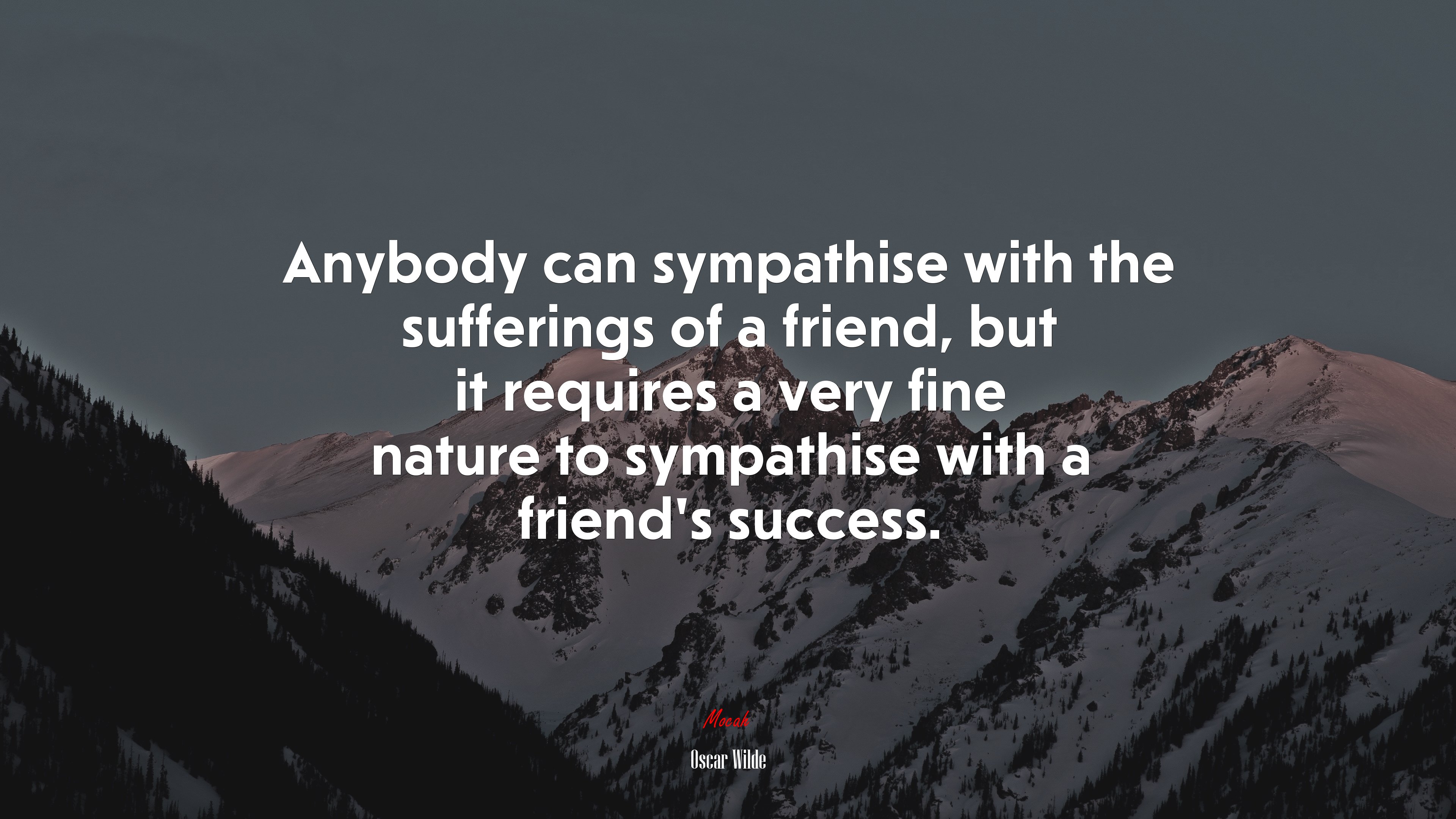 Anybody can sympathise with the sufferings of a friend, but it requires a very fine nature to sympathise with a friends success. | Oscar Wilde quote HD Wallpaper