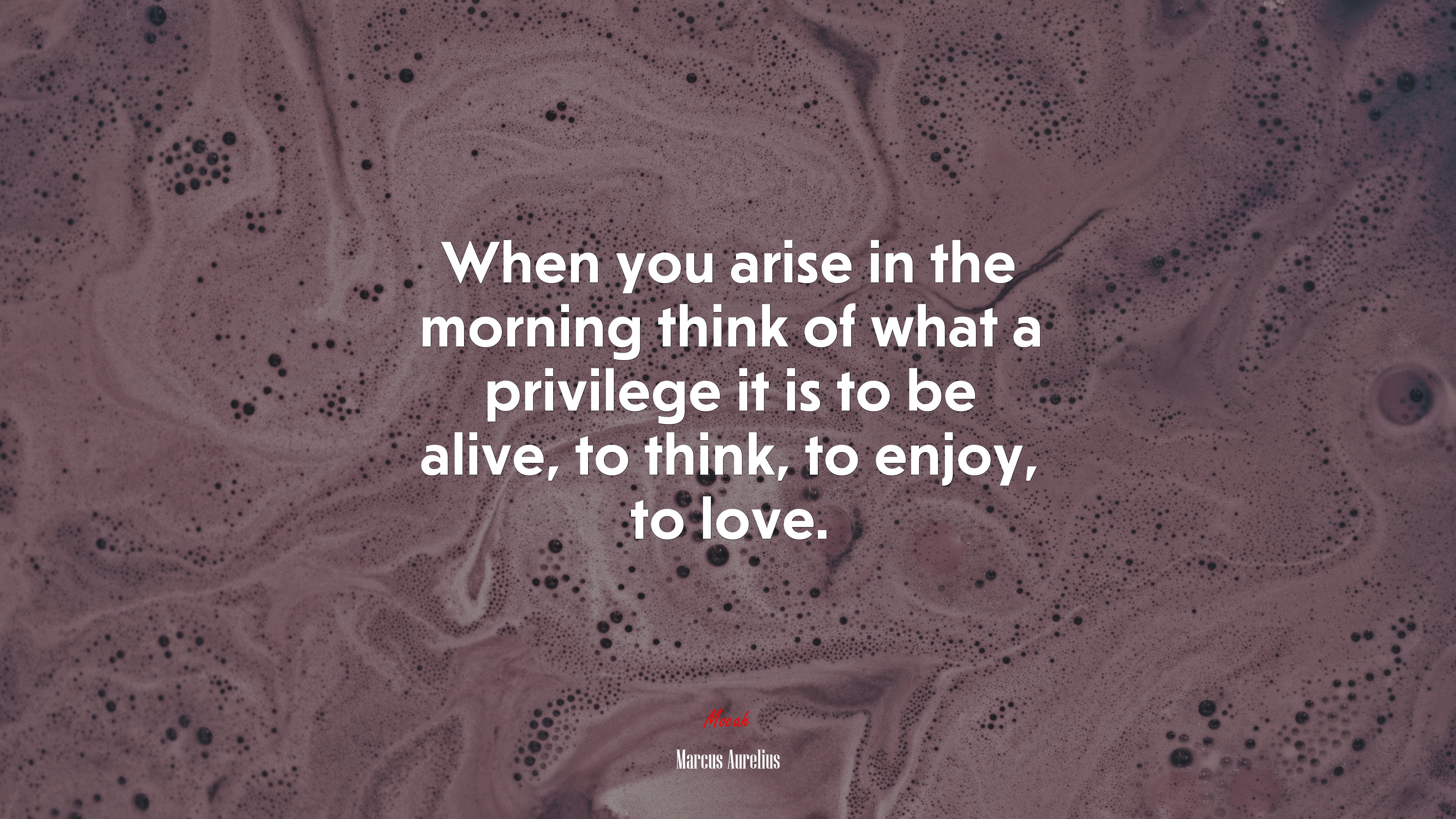 When you arise in the morning think of what a privilege it is to be alive, to think, to enjoy, to love. | Marcus Aurelius quote HD Wallpaper