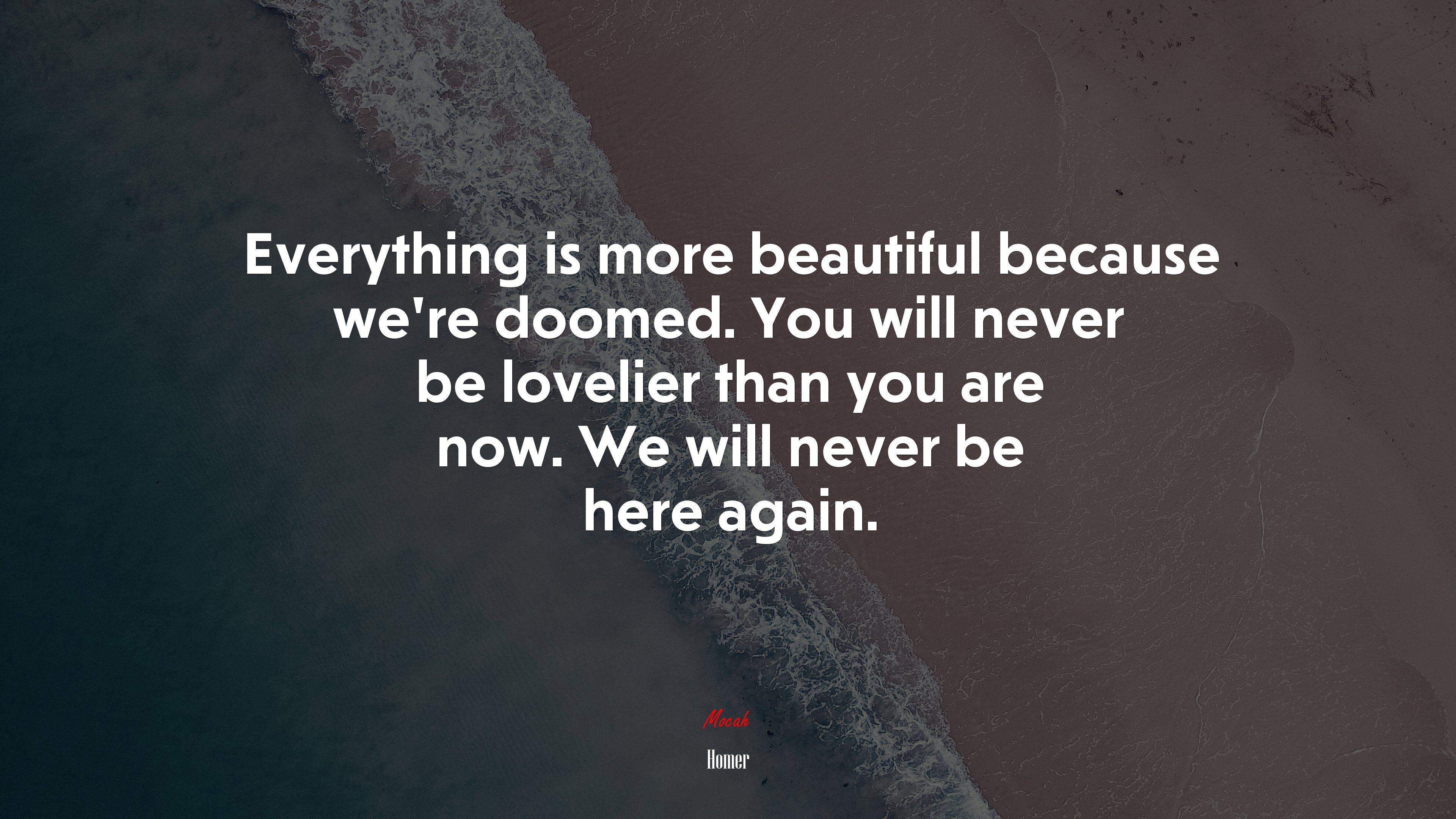 Everything is more beautiful because we’re doomed. You will never be lovelier than you are now. We will never be here again. | Homer quote HD Wallpaper