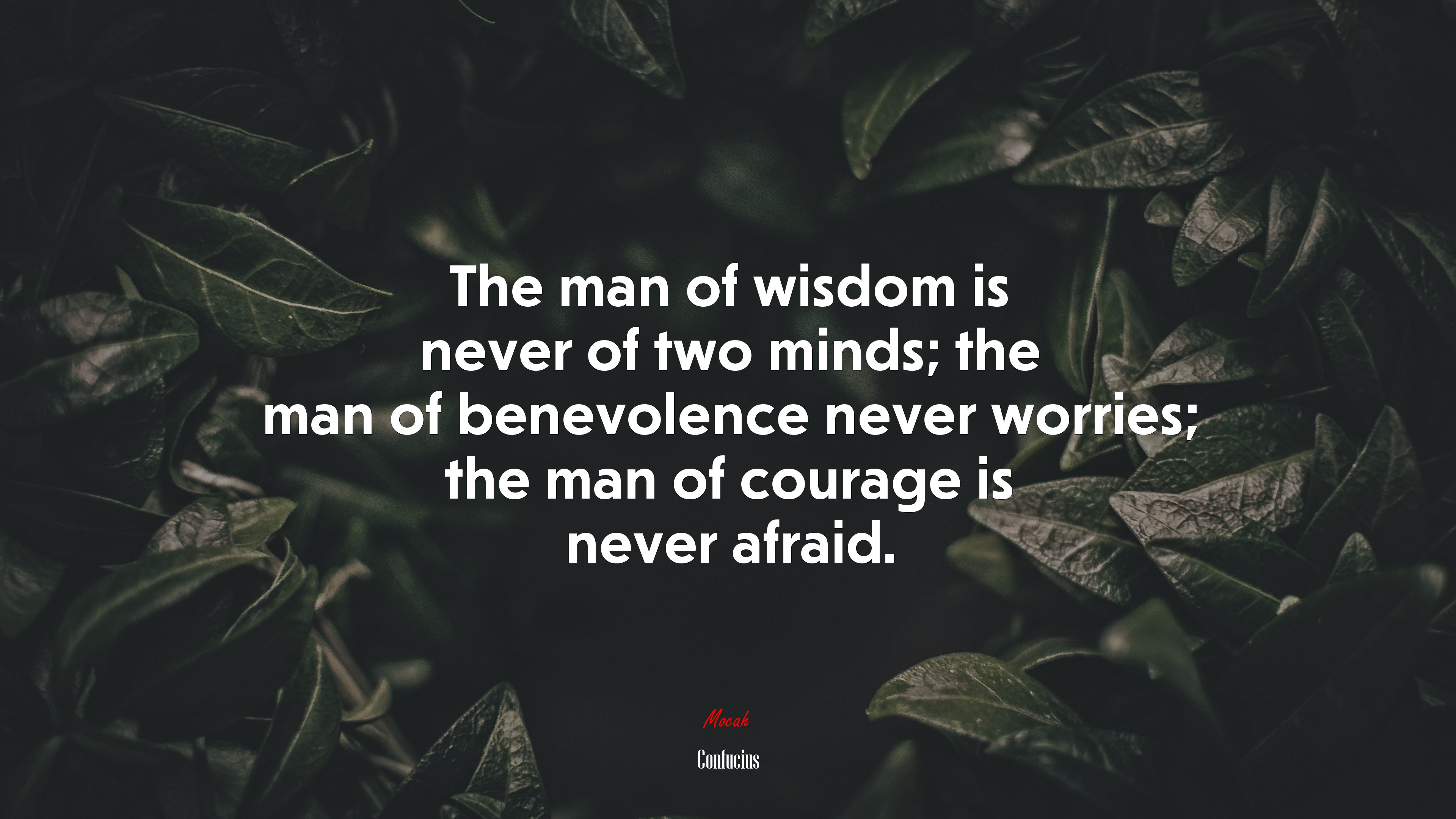 The man of wisdom is never of two minds; the man of benevolence never worries; the man of courage is never afraid. | Confucius quote HD Wallpaper