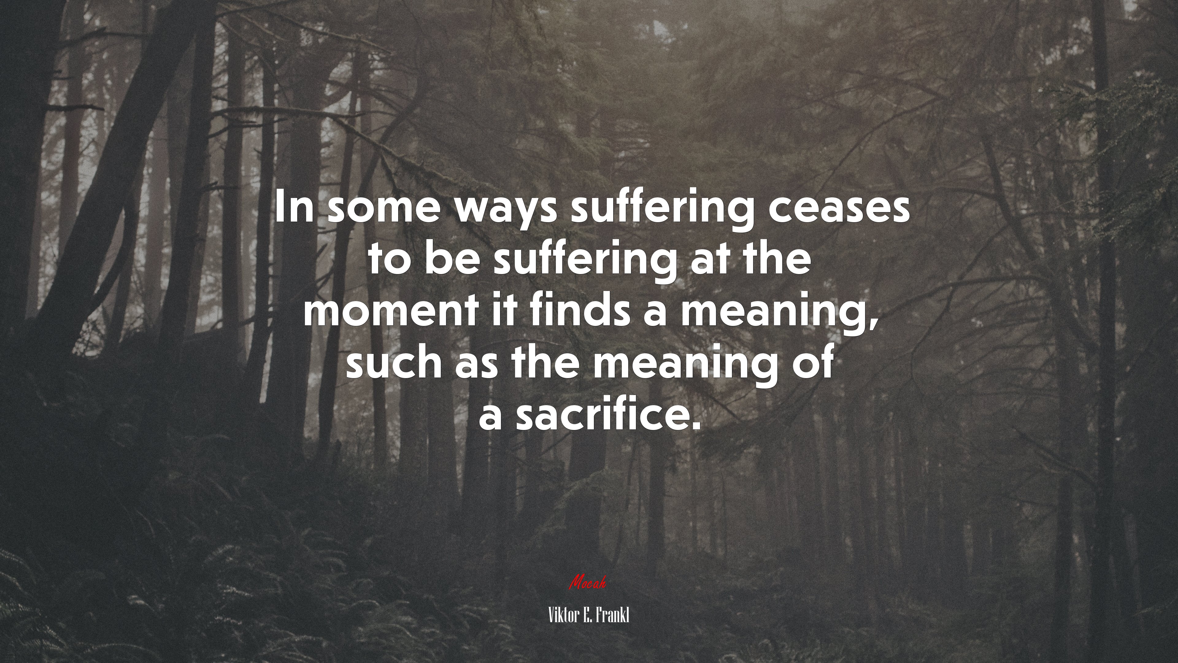 In some ways suffering ceases to be suffering at the moment it finds a meaning, such as the meaning of a sacrifice. | Viktor E. Frankl quote HD Wallpaper