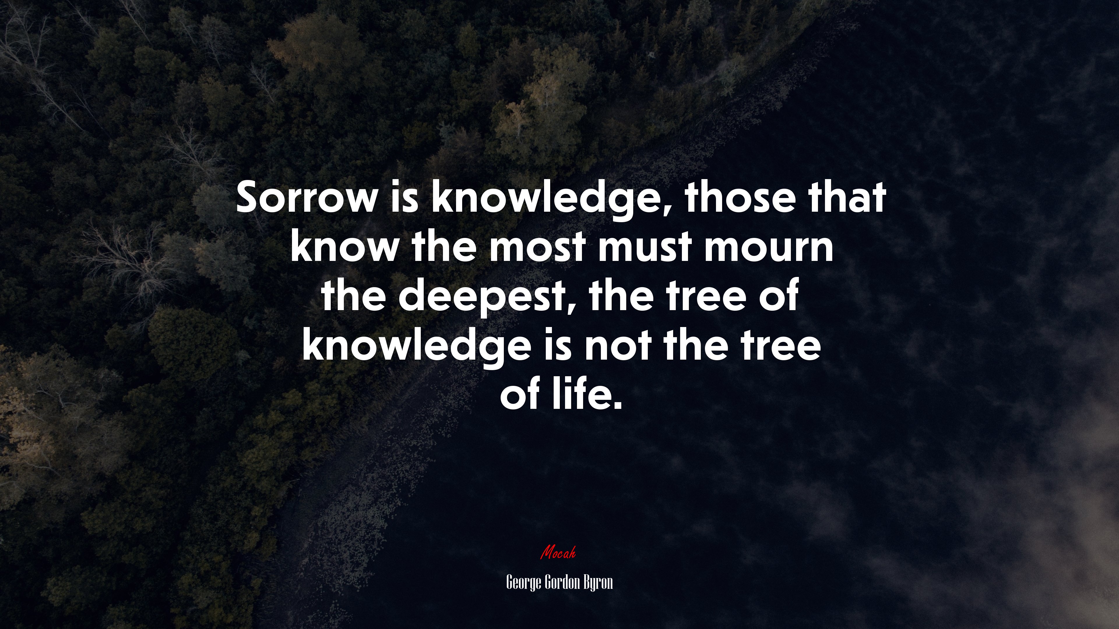 Sorrow is knowledge, those that know the most must mourn the deepest, the tree of knowledge is not the tree of life. | George Gordon Byron quote HD Wallpaper