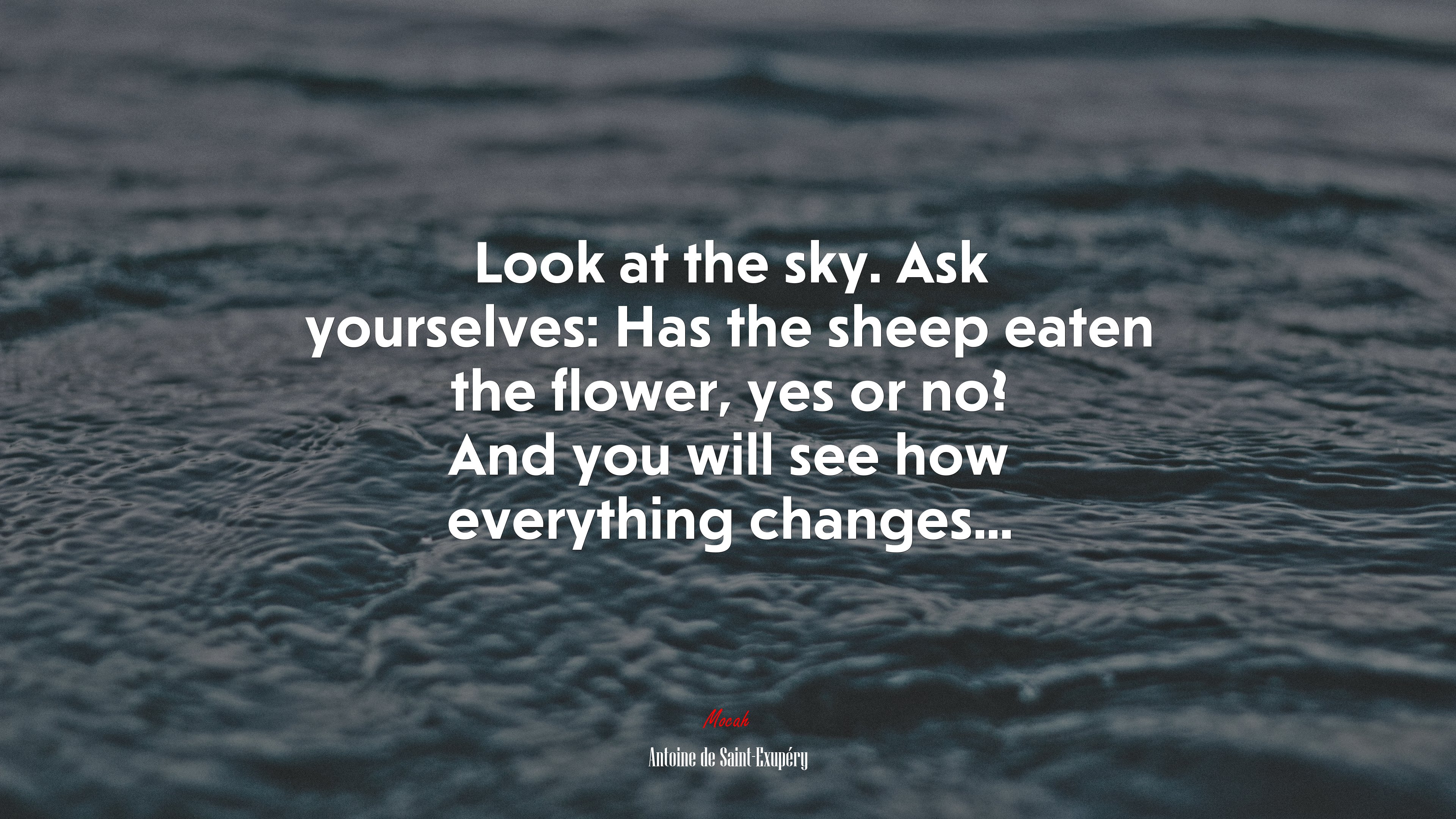 Look at the sky. Ask yourselves: Has the sheep eaten the flower, yes or no? And you will see how everything changes... | Antoine de Saint-Exupéry quote HD Wallpaper