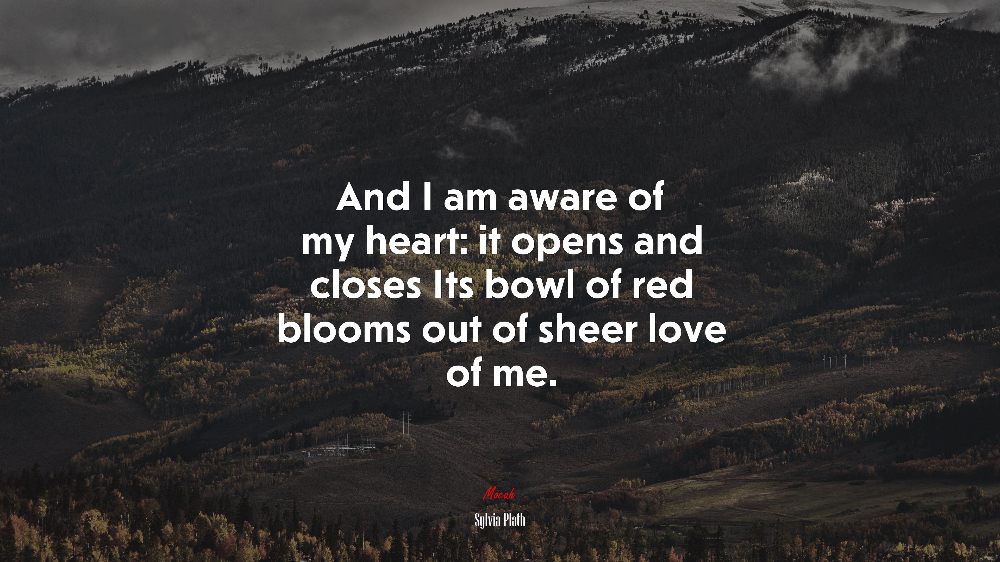And I am aware of my heart: it opens and closes Its bowl of red blooms out of sheer love of me. | Sylvia Plath quote HD Wallpaper