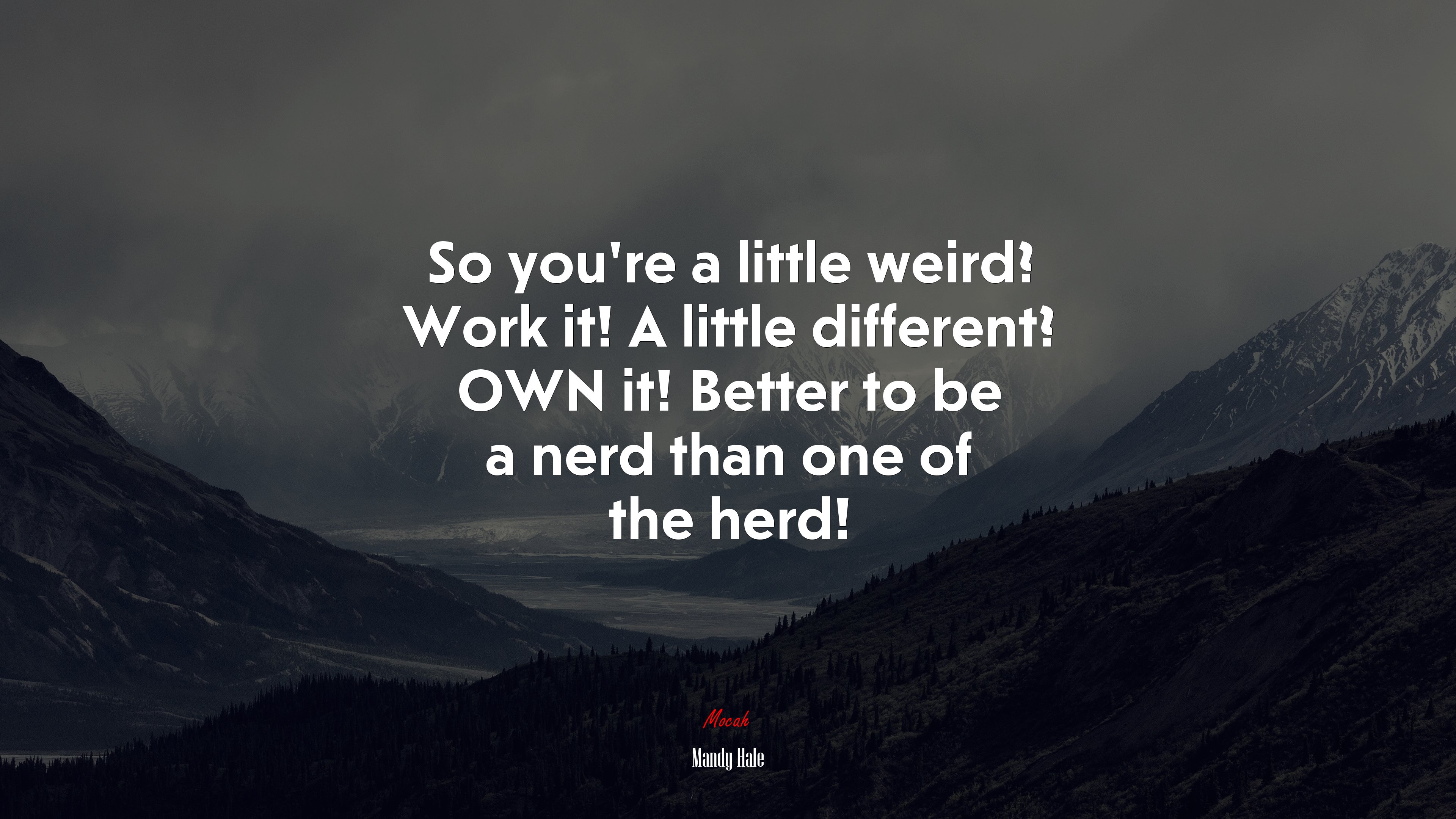 So you’re a little weird? Work it! A little different? OWN it! Better to be a nerd than one of the herd! | Mandy Hale quote HD Wallpaper
