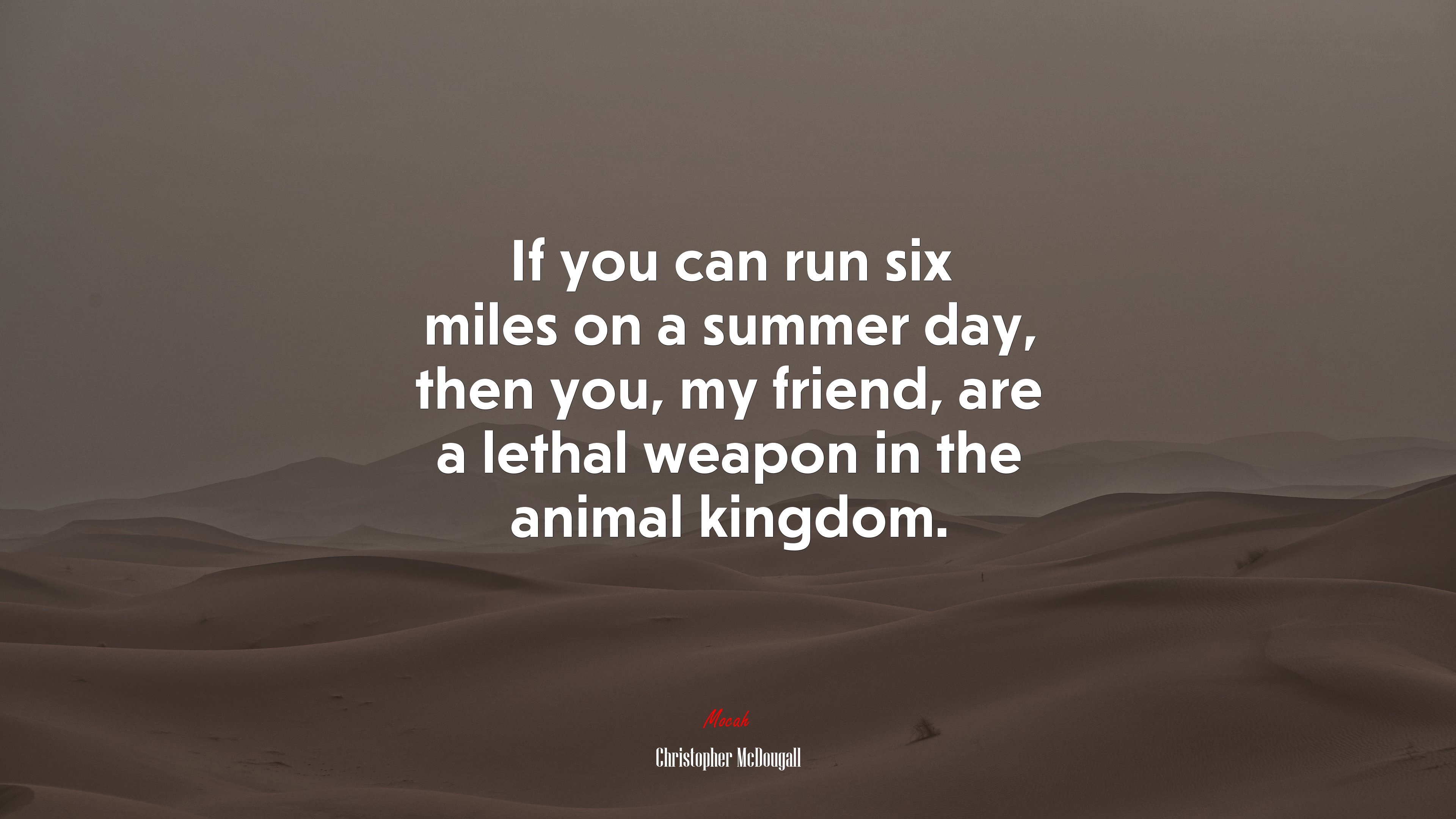 If you can run six miles on a summer day, then you, my friend, are a lethal weapon in the animal kingdom. | Christopher McDougall quote HD Wallpaper