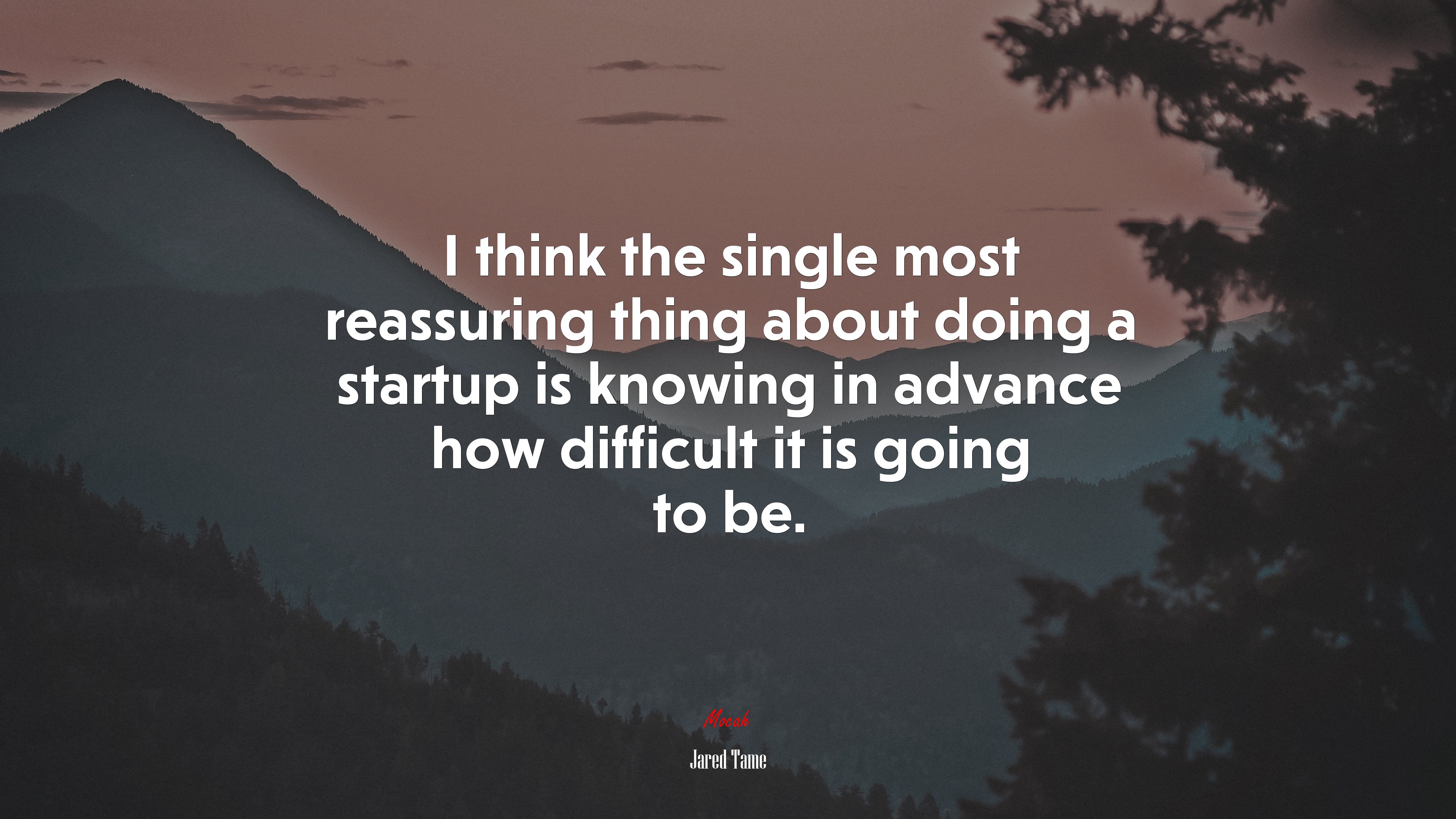 I think the single most reassuring thing about doing a startup is knowing in advance how difficult it is going to be. | Jared Tame quote HD Wallpaper
