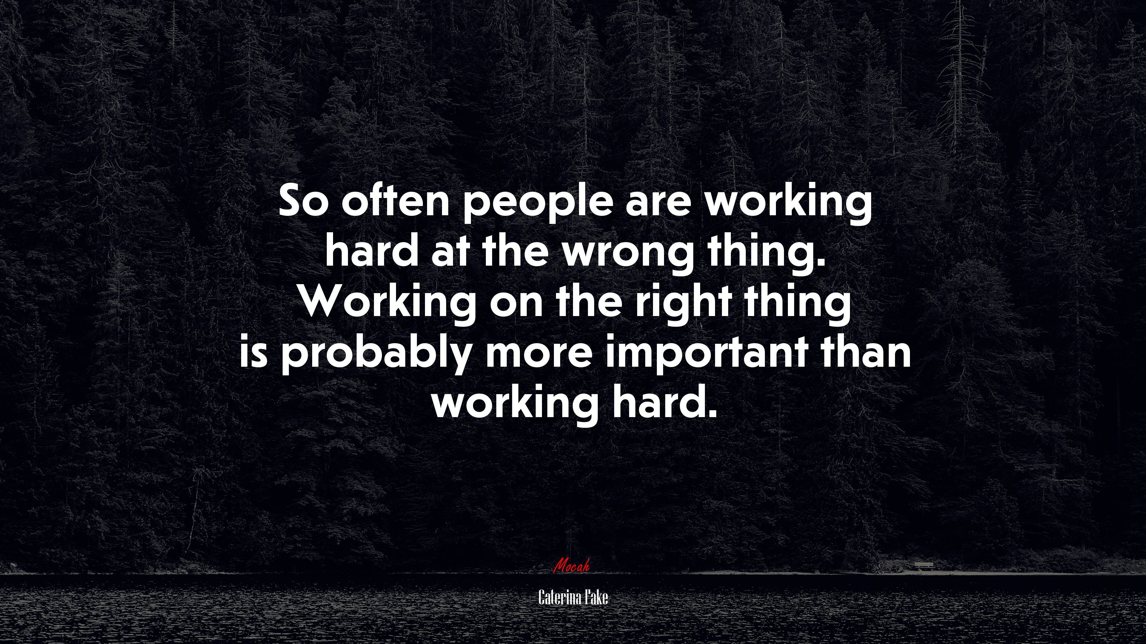 So often people are working hard at the wrong thing. Working on the right thing is probably more important than working hard. | Caterina Fake quote HD Wallpaper
