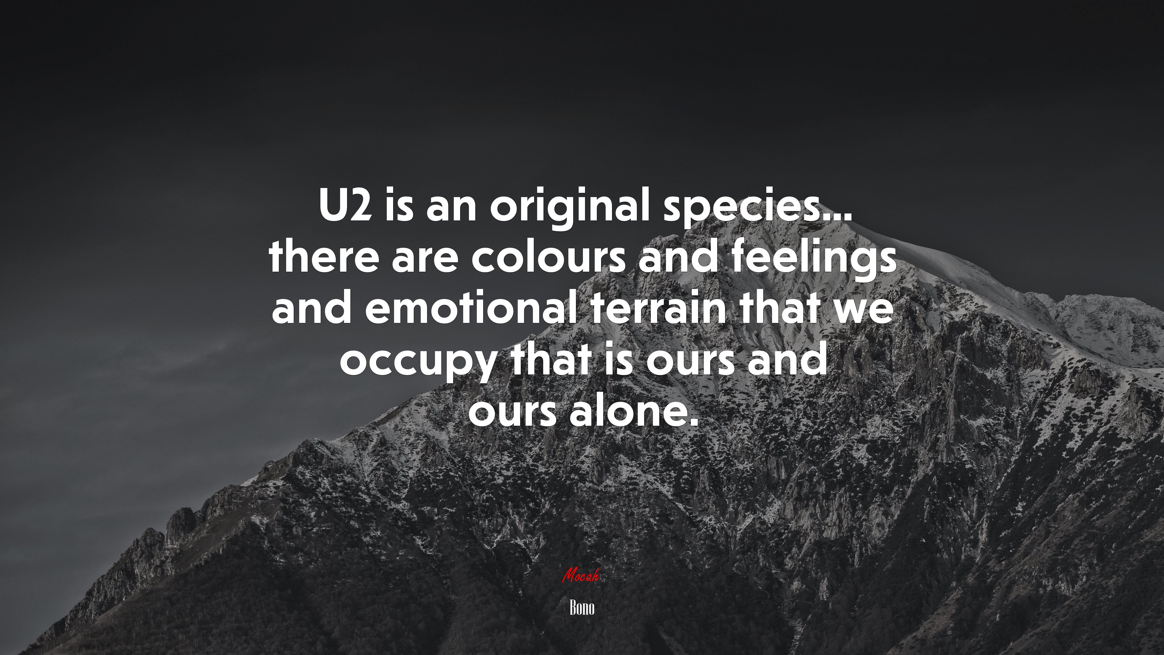 U2 is an original species... there are colours and feelings and emotional terrain that we occupy that is ours and ours alone. | Bono quote HD Wallpaper