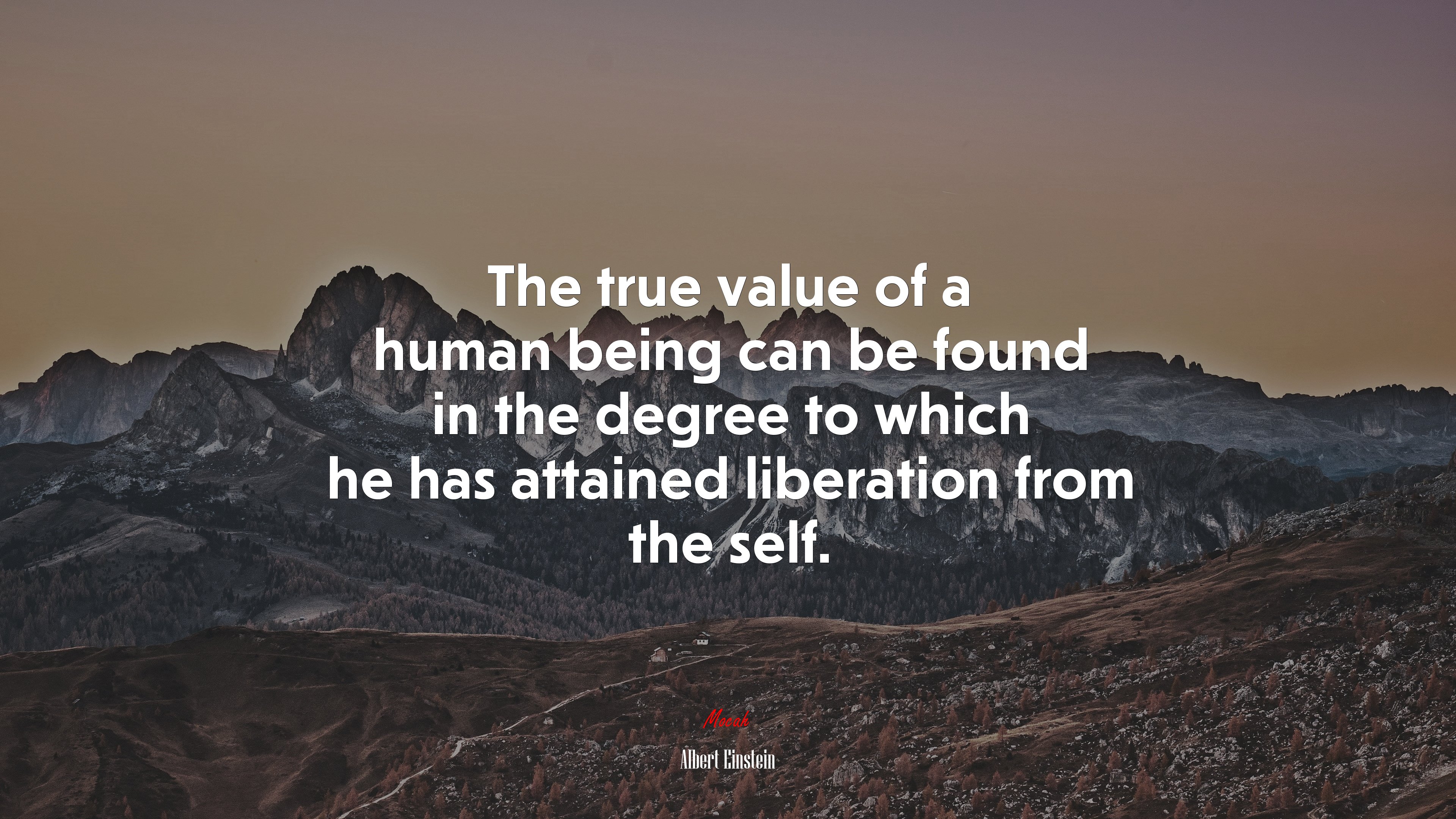 The true value of a human being can be found in the degree to which he has attained liberation from the self. | Albert Einstein quote HD Wallpaper