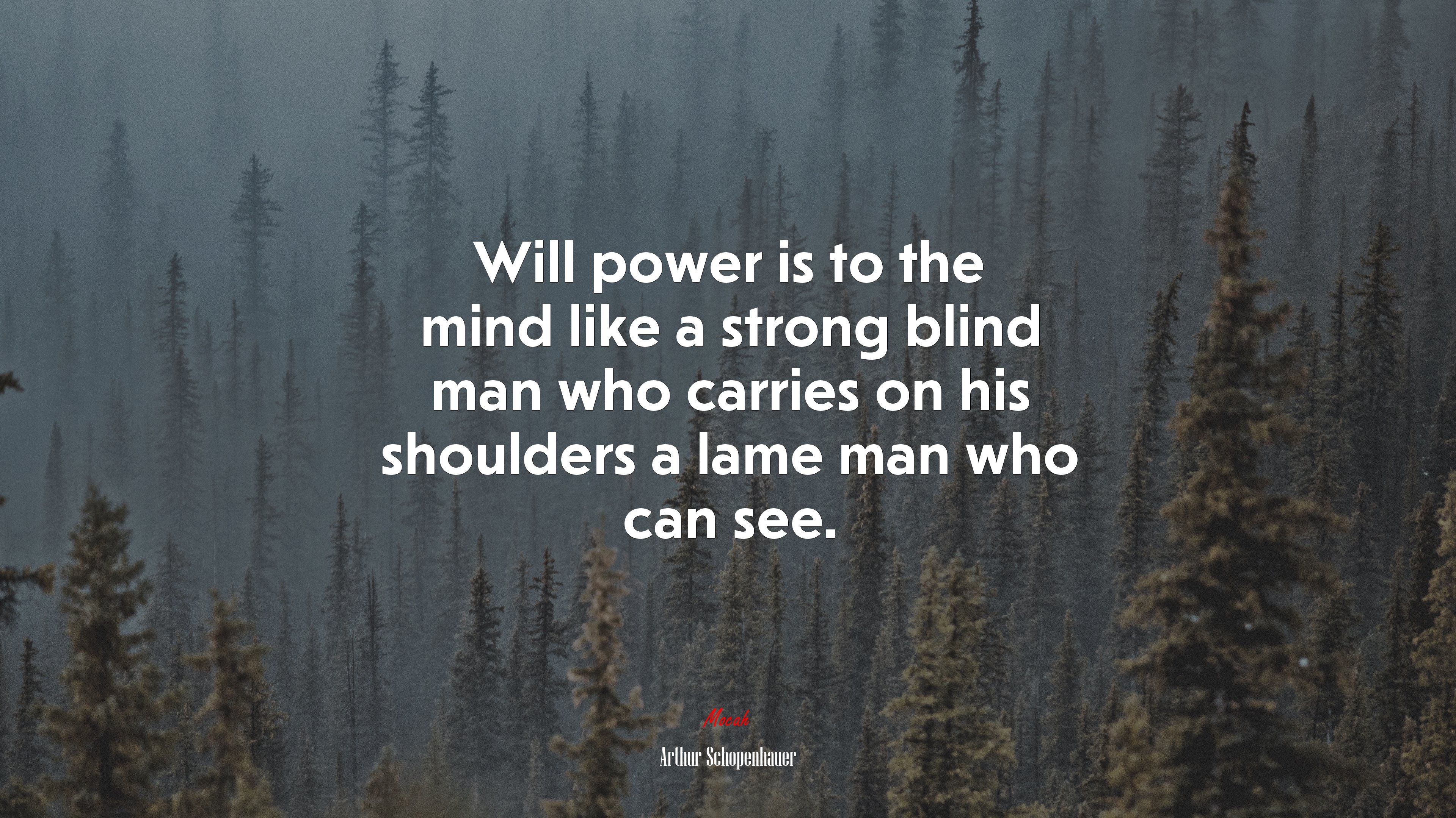Will power is to the mind like a strong blind man who carries on his shoulders a lame man who can see. | Arthur Schopenhauer quote HD Wallpaper