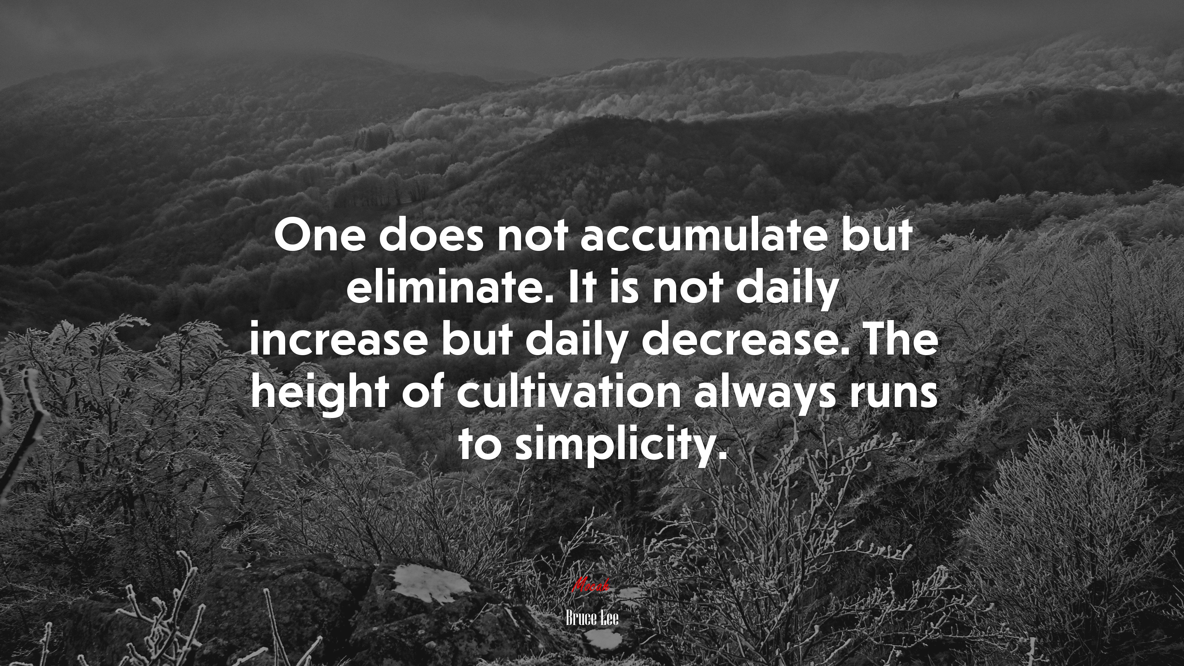 One does not accumulate but eliminate. It is not daily increase but daily decrease. The height of cultivation always runs to simplicity. | Bruce Lee quote HD Wallpaper
