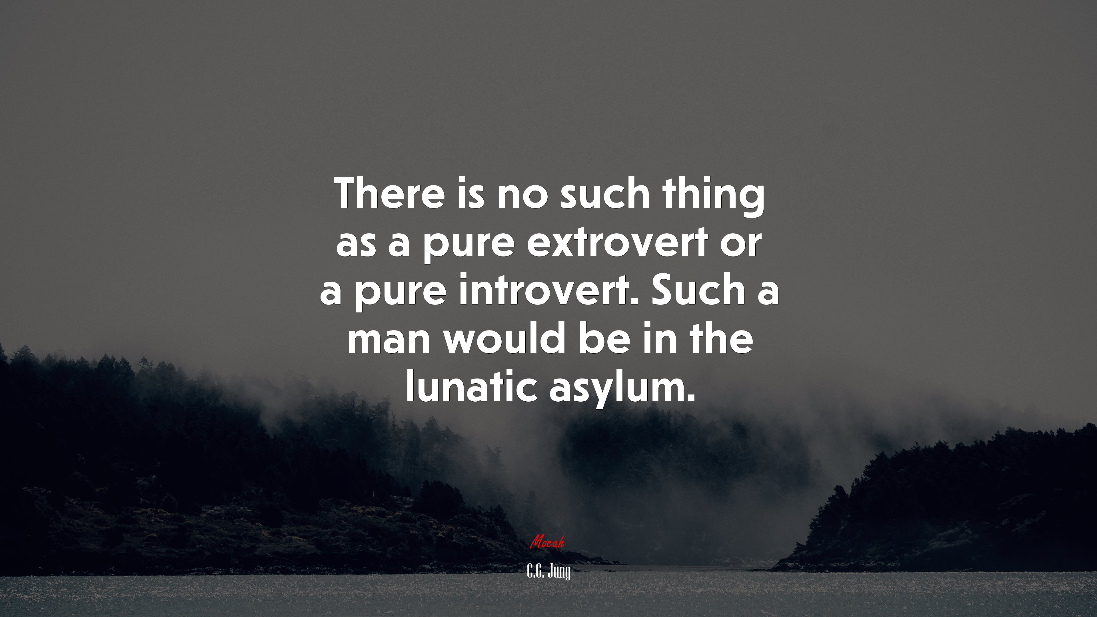 There is no such thing as a pure extrovert or a pure introvert. Such a man would be in the lunatic asylum. | C.G. Jung quote HD Wallpaper